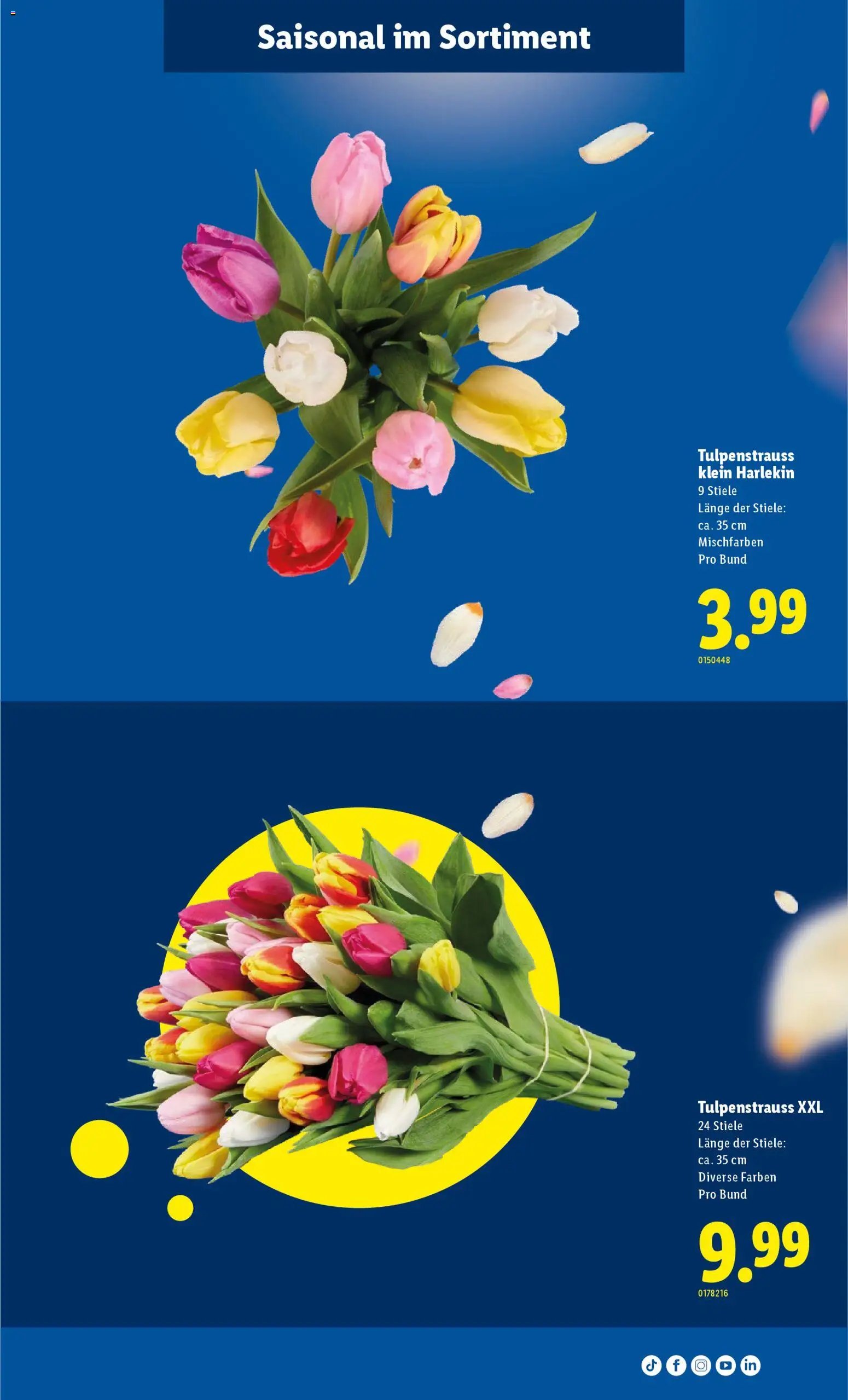 Lidl Aktionen (2026-02-12 - 2026-02-18)