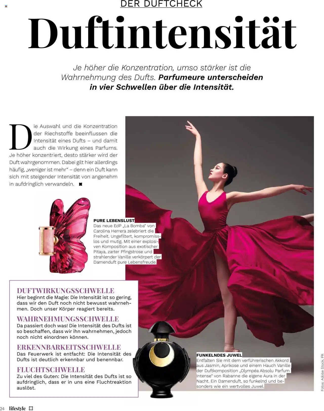 Müller Magazin (2025-09-12 - 2025-10-31)