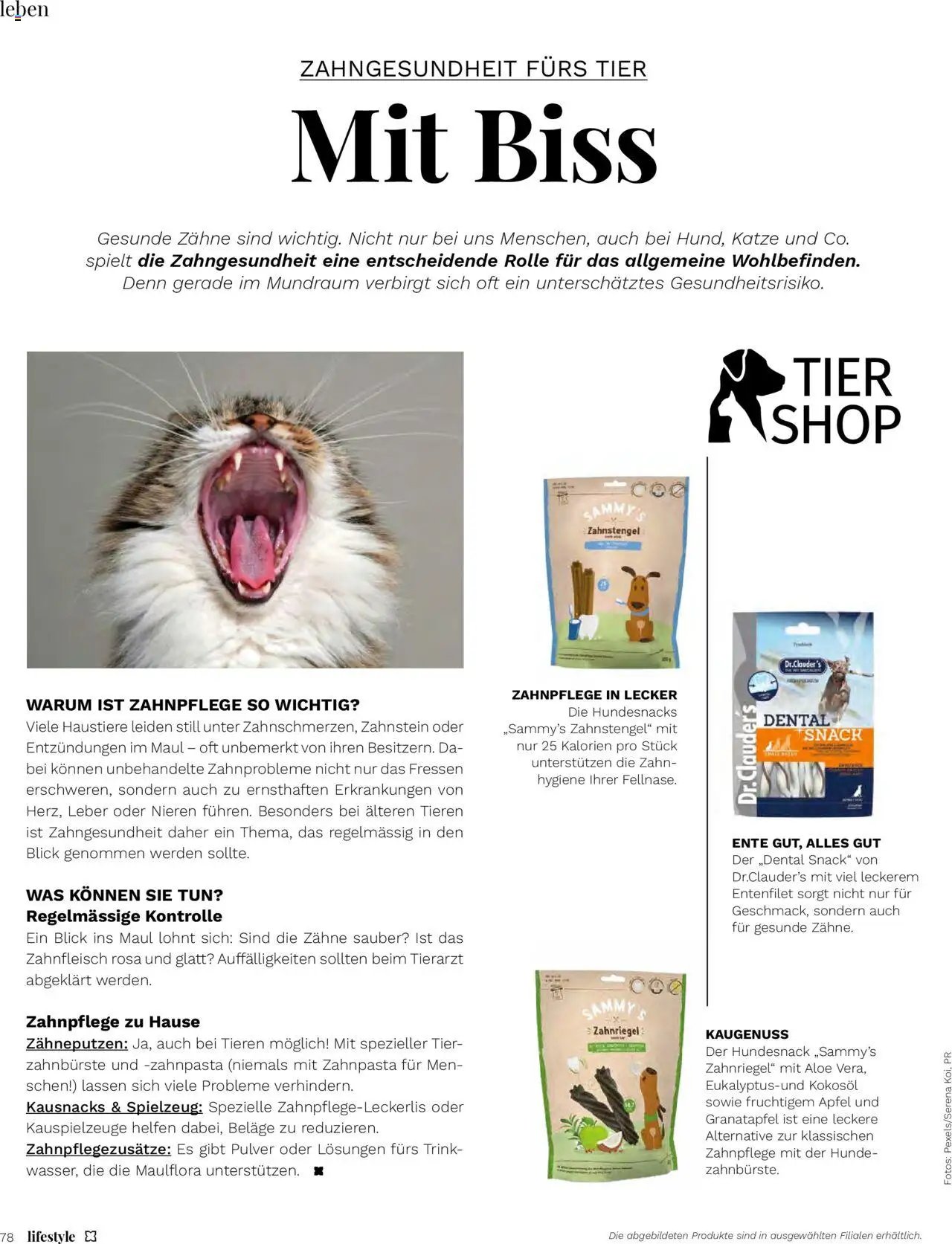 Müller Magazin (2025-09-12 - 2025-10-31)