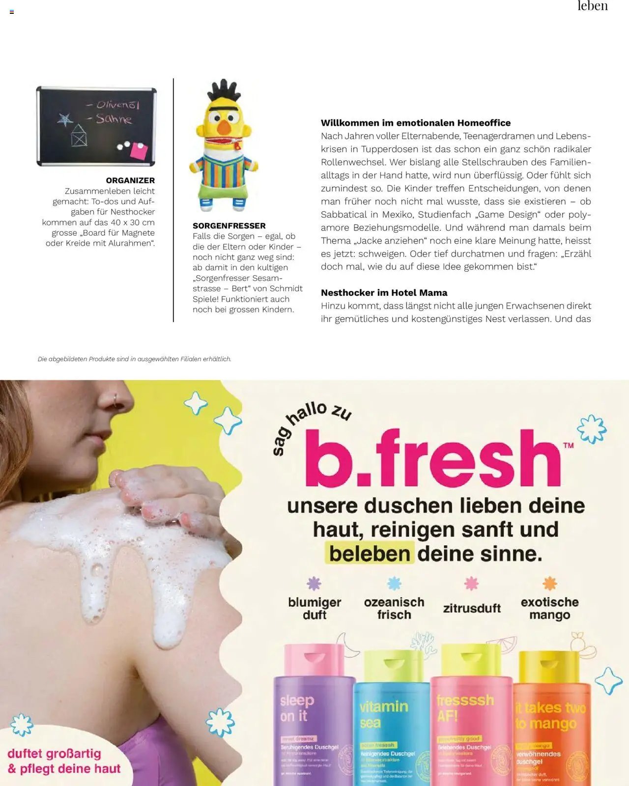 Müller Magazin (2025-09-12 - 2025-10-31)