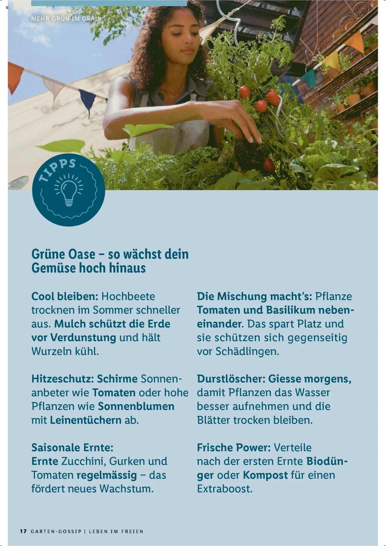 Lidl Aktionen Garten (2025-04-21 - 2025-12-31)