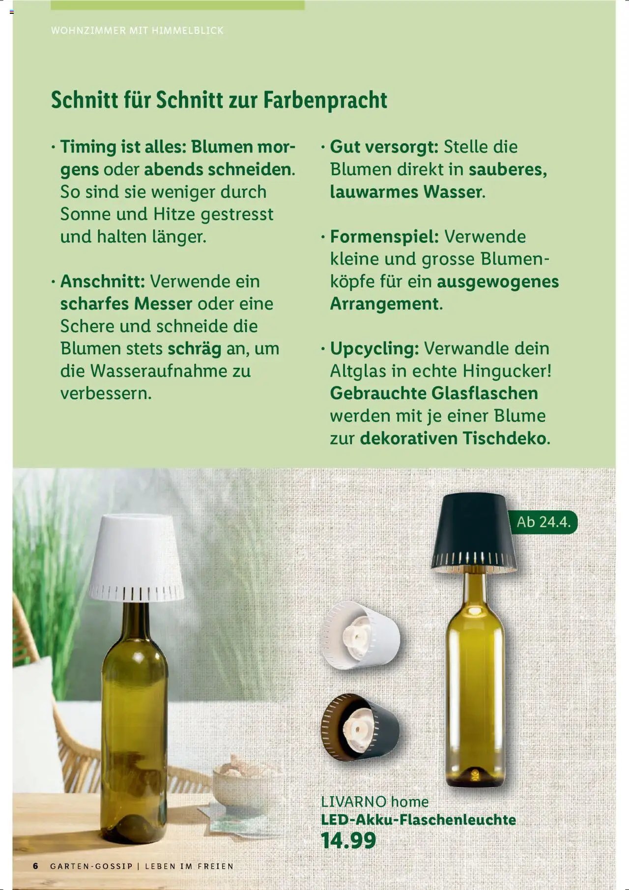 Lidl Aktionen Garten (2025-04-21 - 2025-12-31)