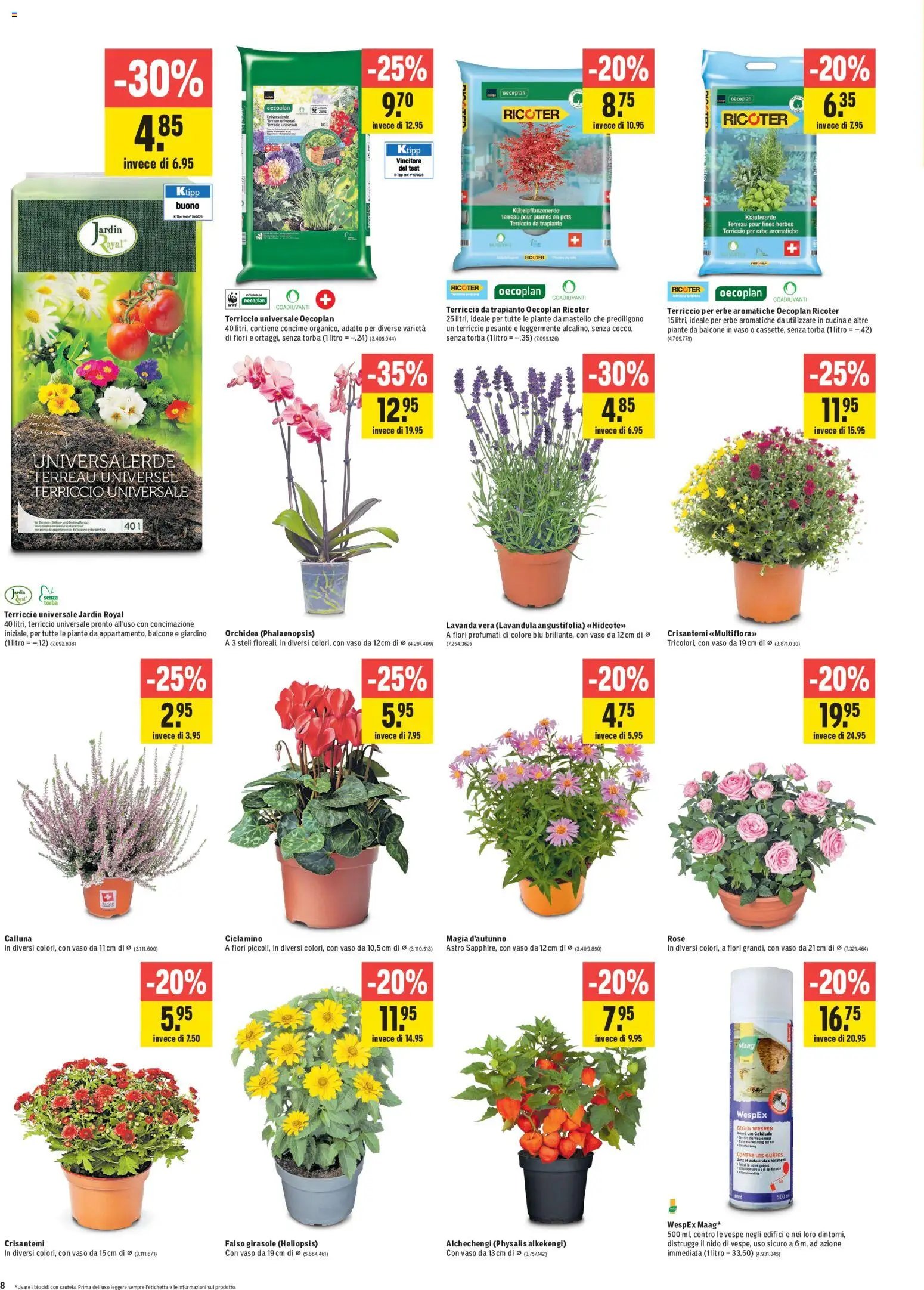Jumbo aktionen IT