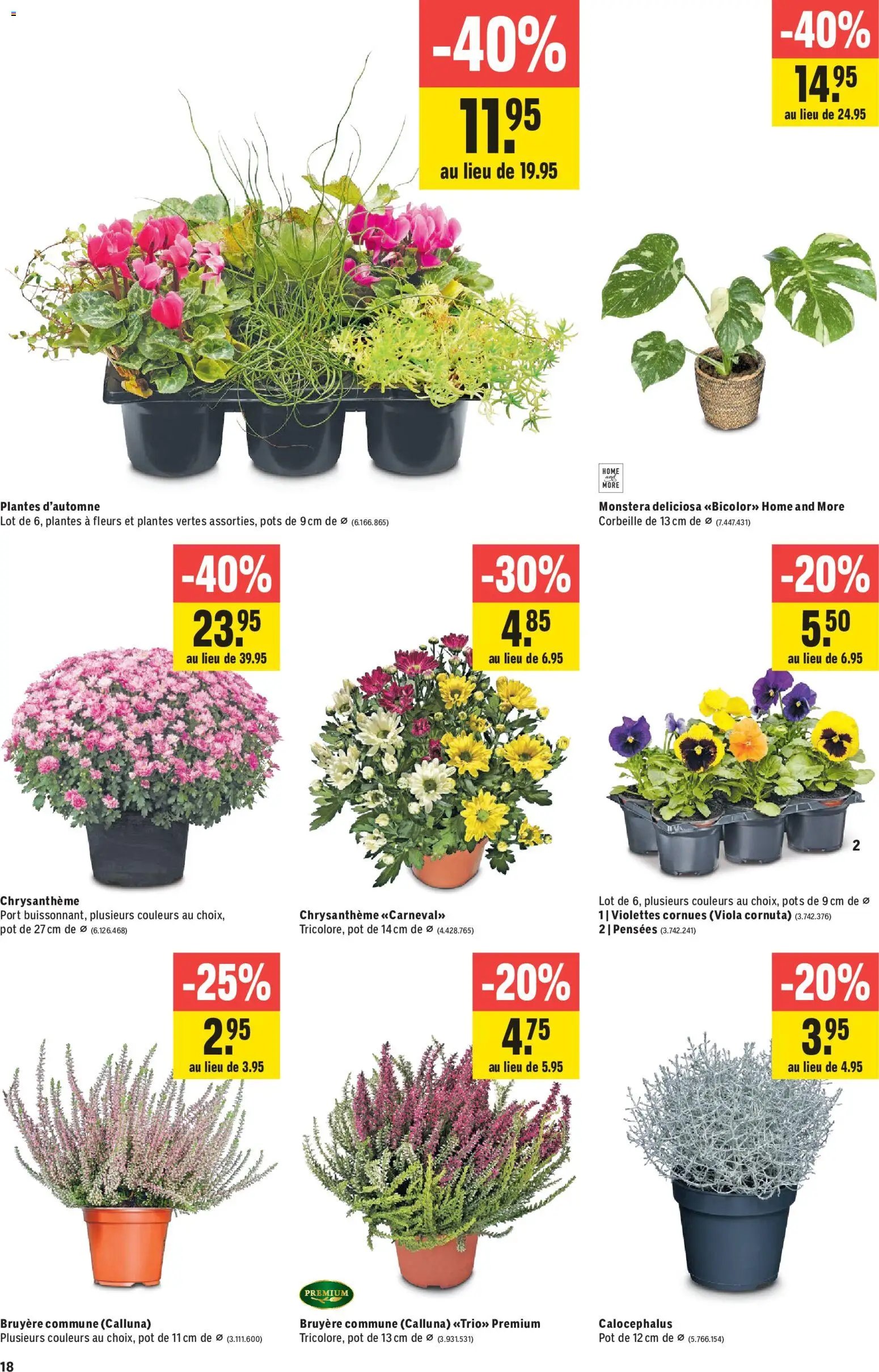 Jumbo aktionen FR