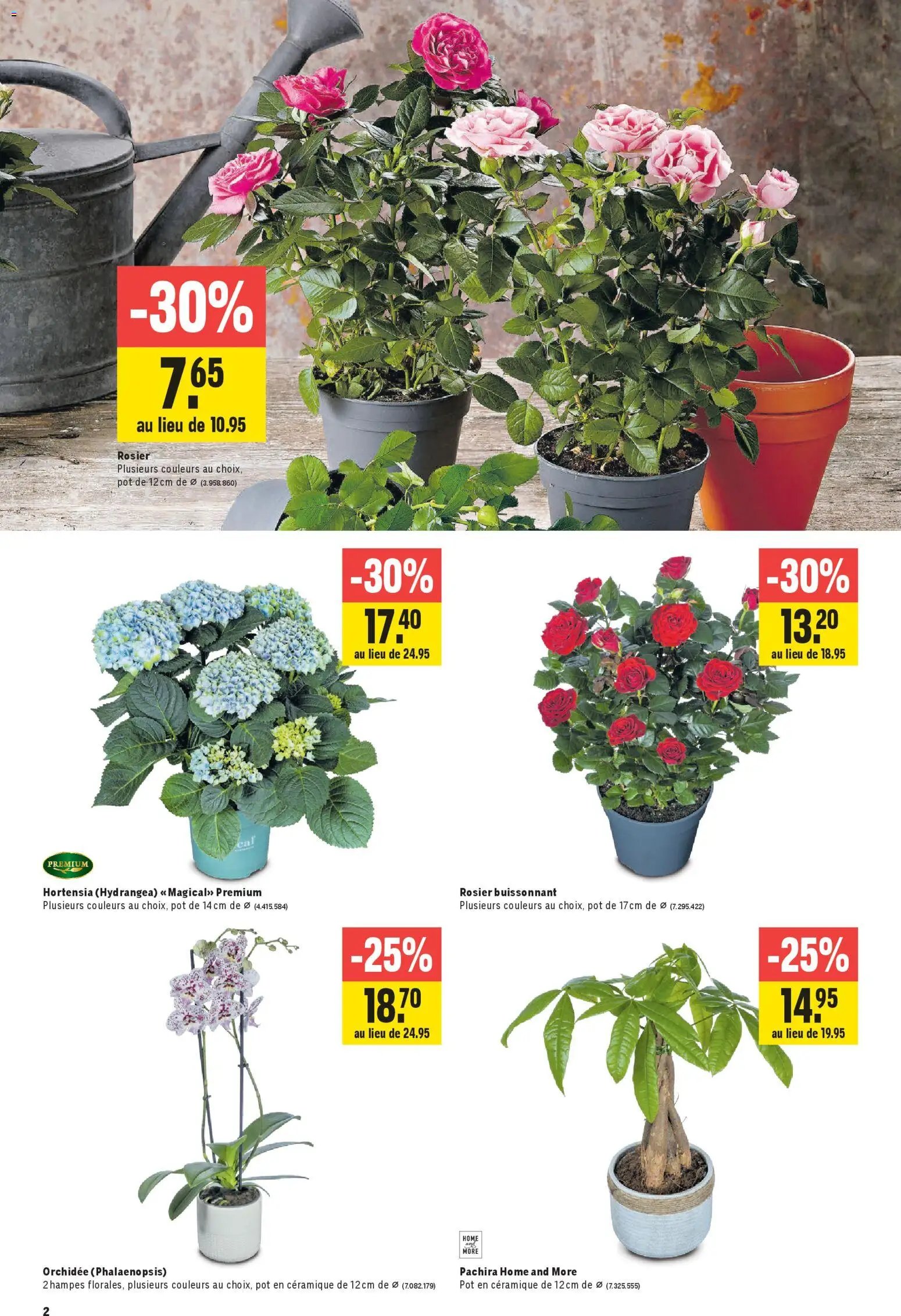 Jumbo aktionen FR (2026-04-09 - 2026-04-22)