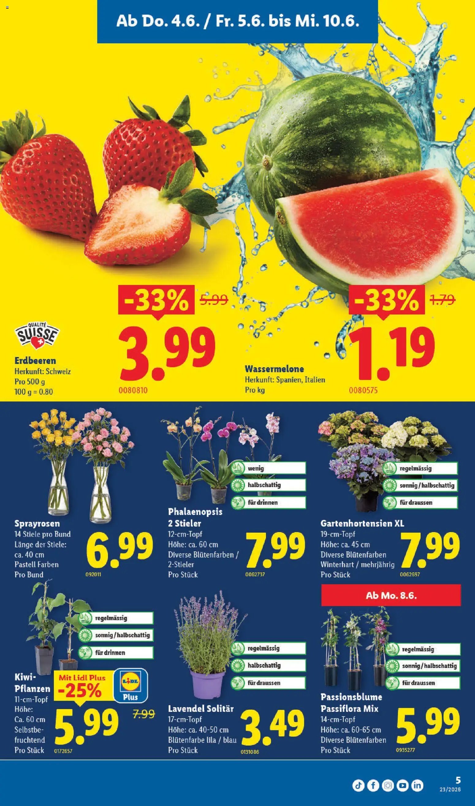 Lidl aktionen