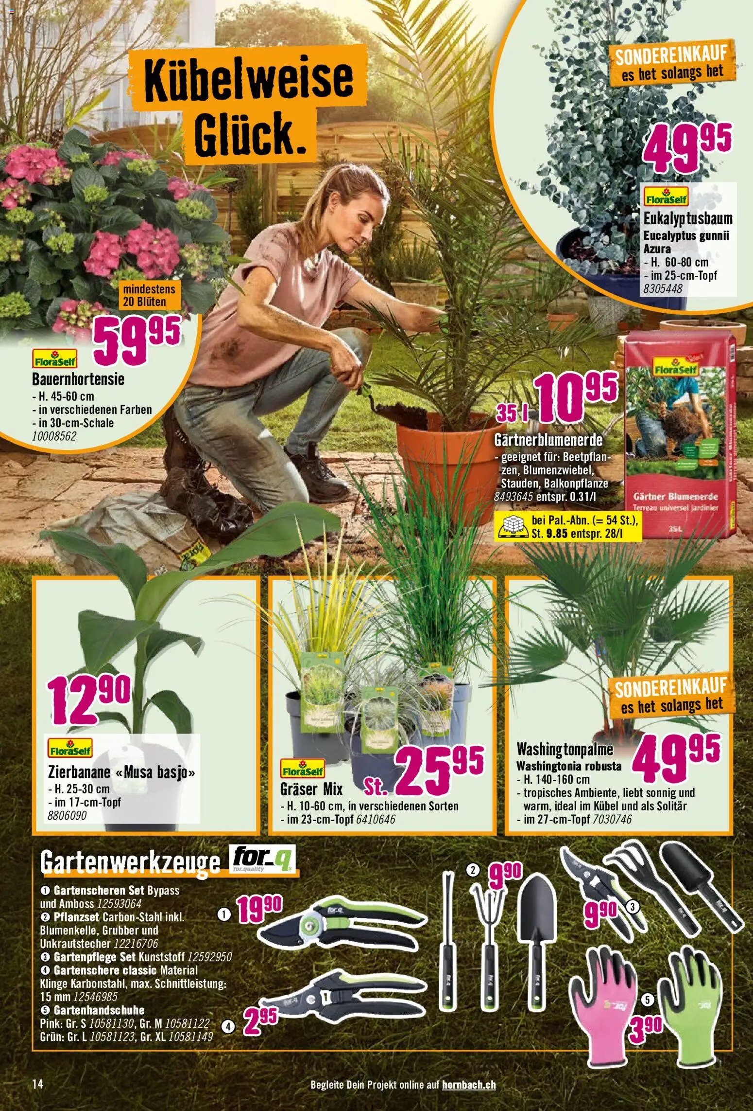 Hornbach aktionen (2026-05-26 - 2026-06-22)