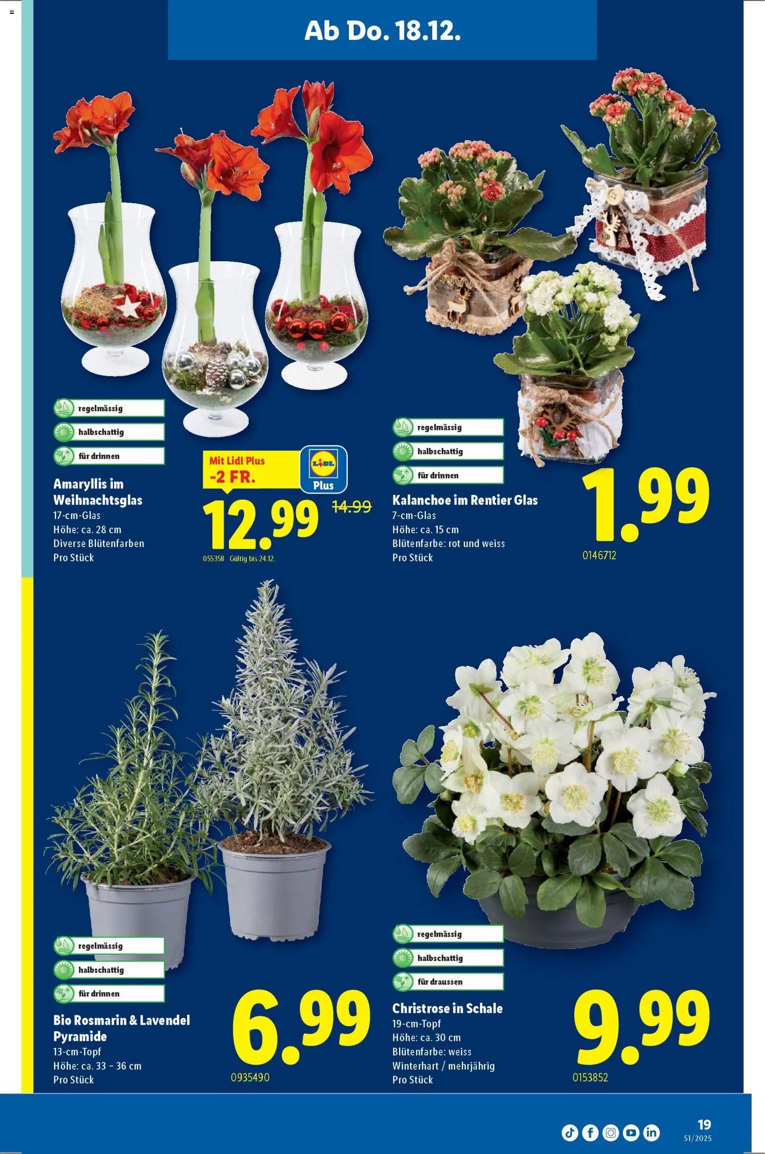 Lidl Aktionen (2025-12-18 - 2025-12-24) | 19
