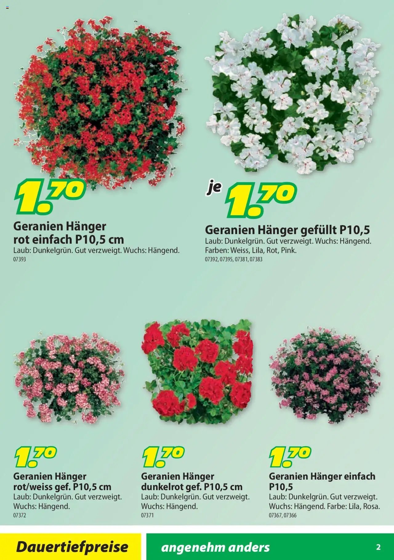 Landi Aktionen Geranien (2025-03-17 - 2025-12-31) | 2