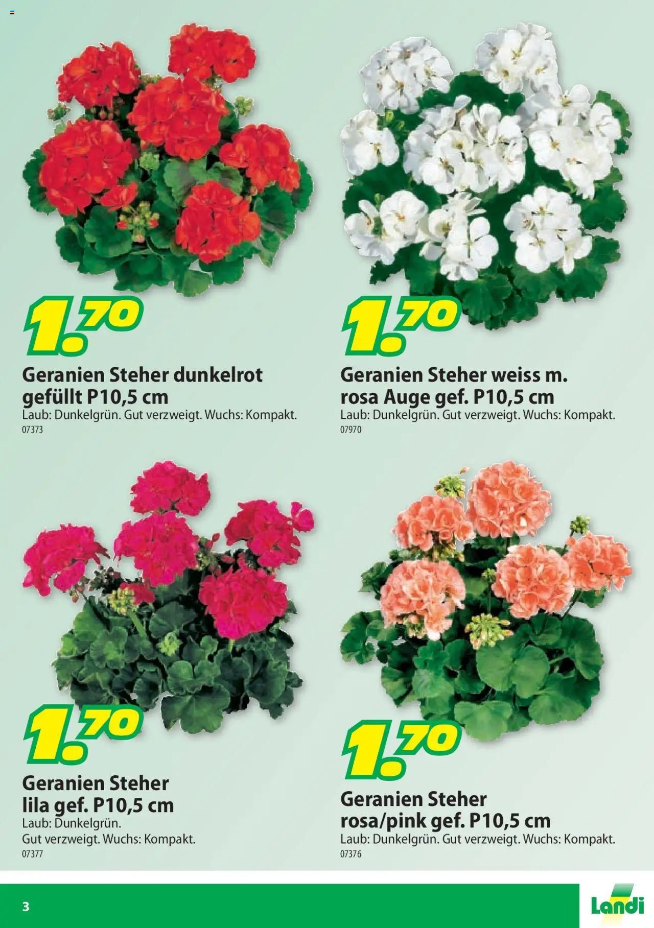 Landi Aktionen Geranien (2025-03-17 - 2025-12-31) | 3