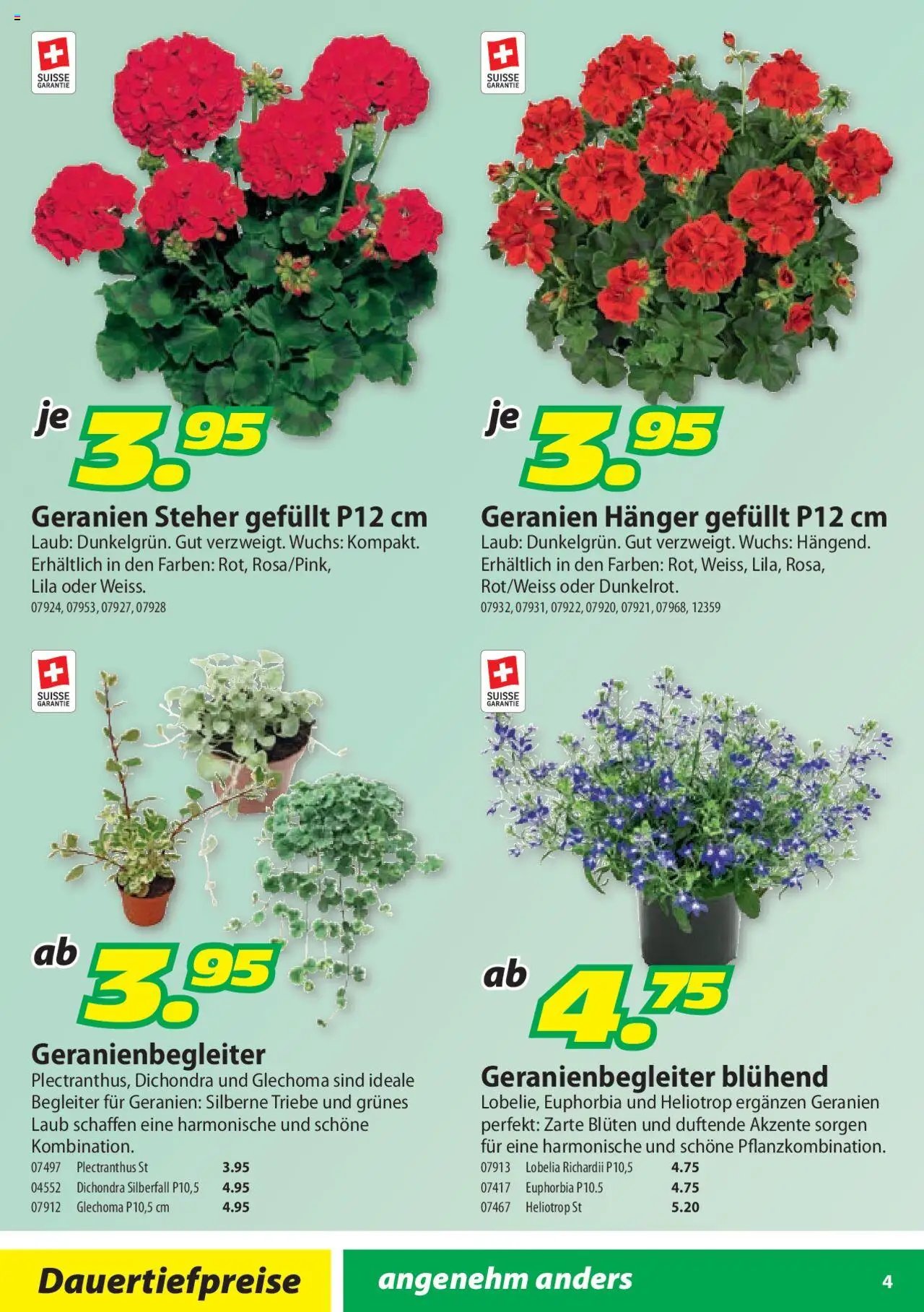 Landi Aktionen Geranien (2025-03-17 - 2025-12-31) | 4