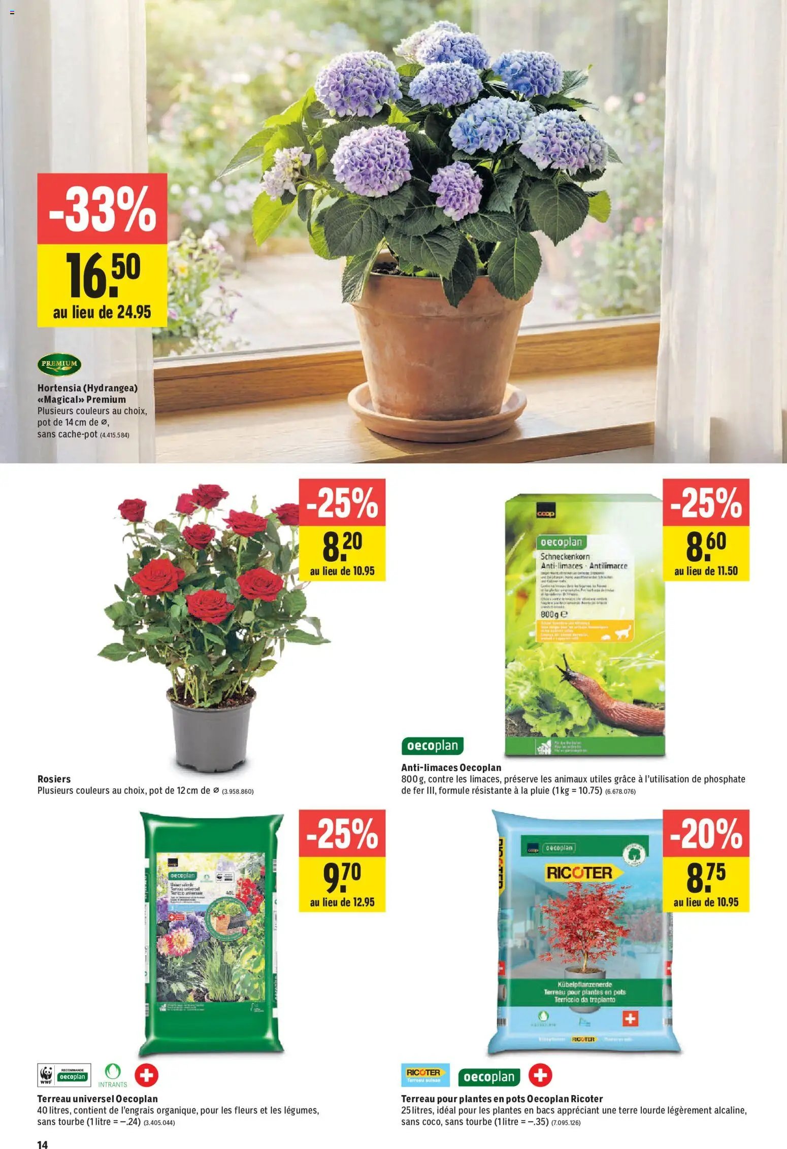 Jumbo aktionen FR