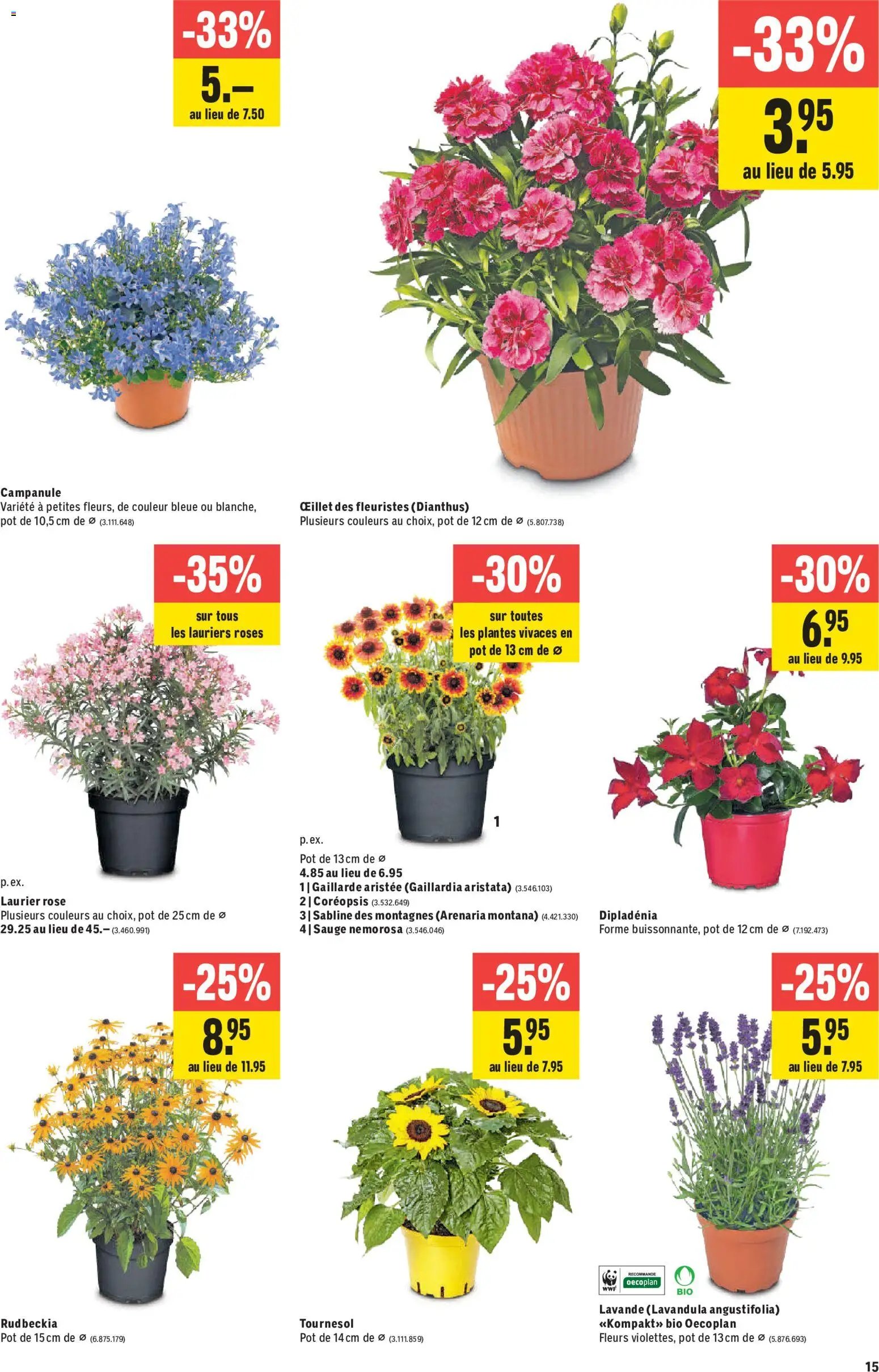 Jumbo aktionen FR