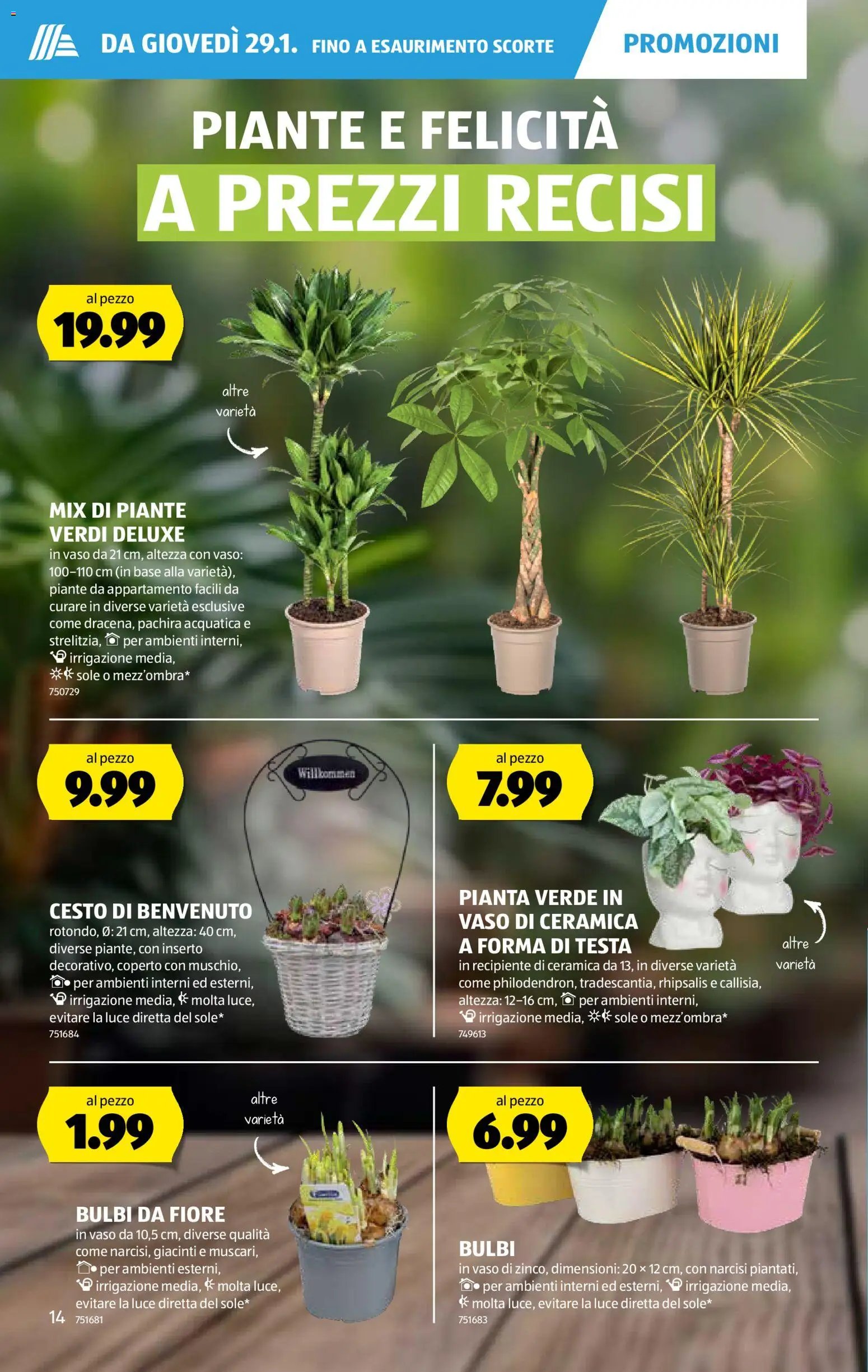 Aldi Aktionen IT (2026-01-29 - 2026-02-04) | 15