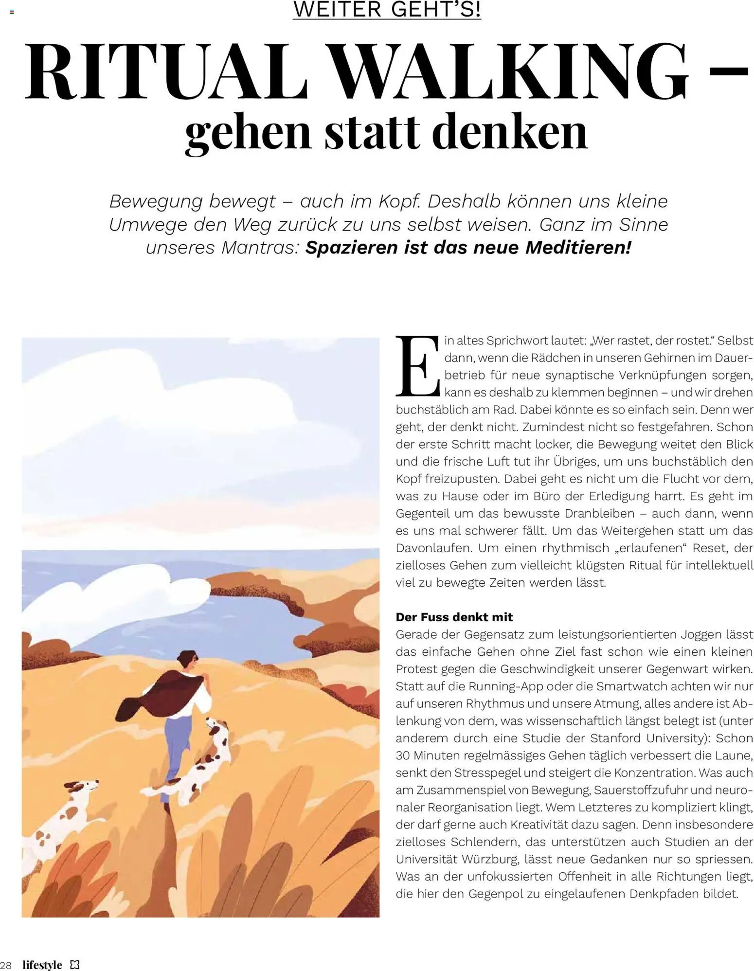 Müller aktionen Magazin (2026-05-15 - 2026-06-30)