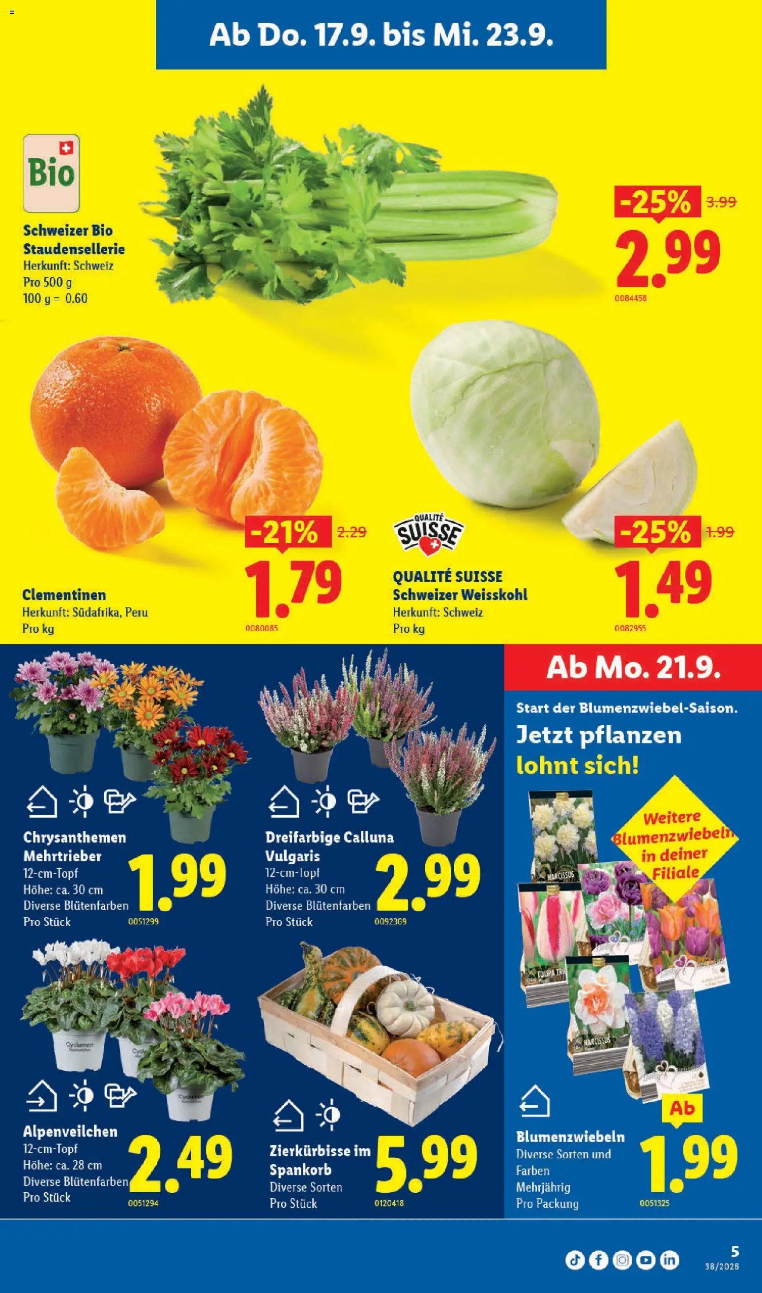 Lidl aktionen