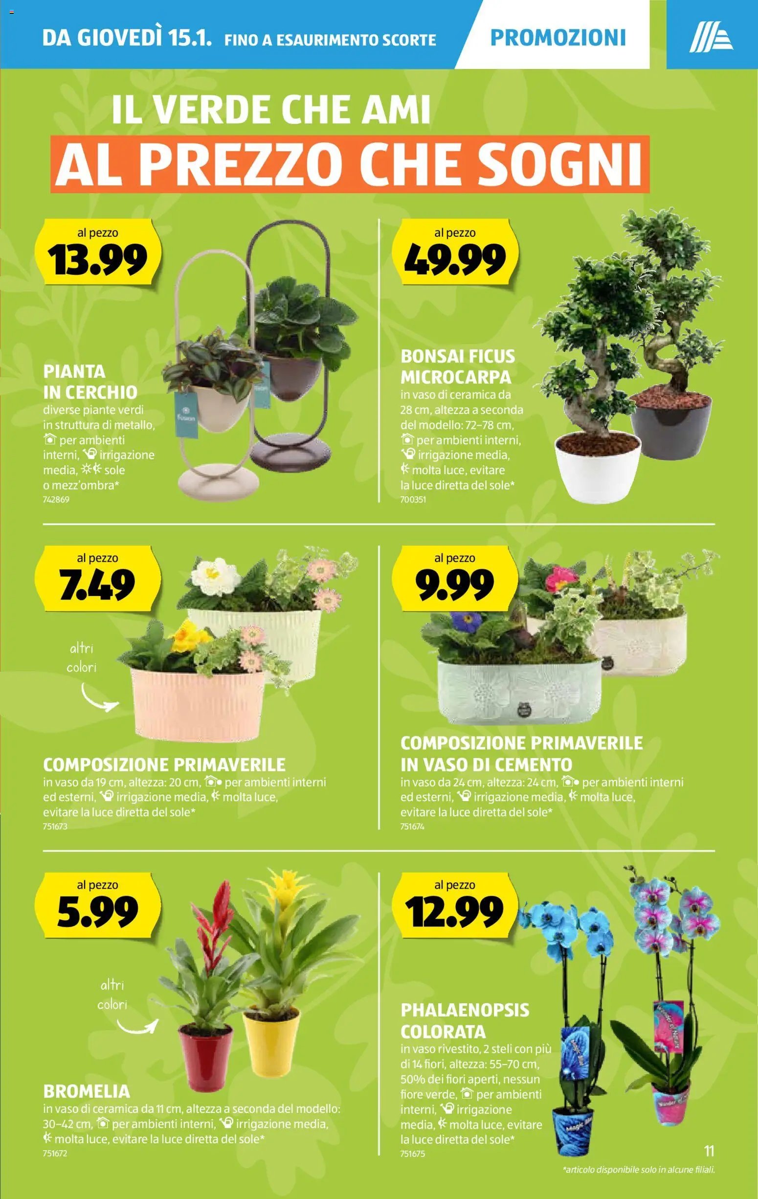 Aldi Aktionen IT (2026-01-15 - 2026-01-21) | 12