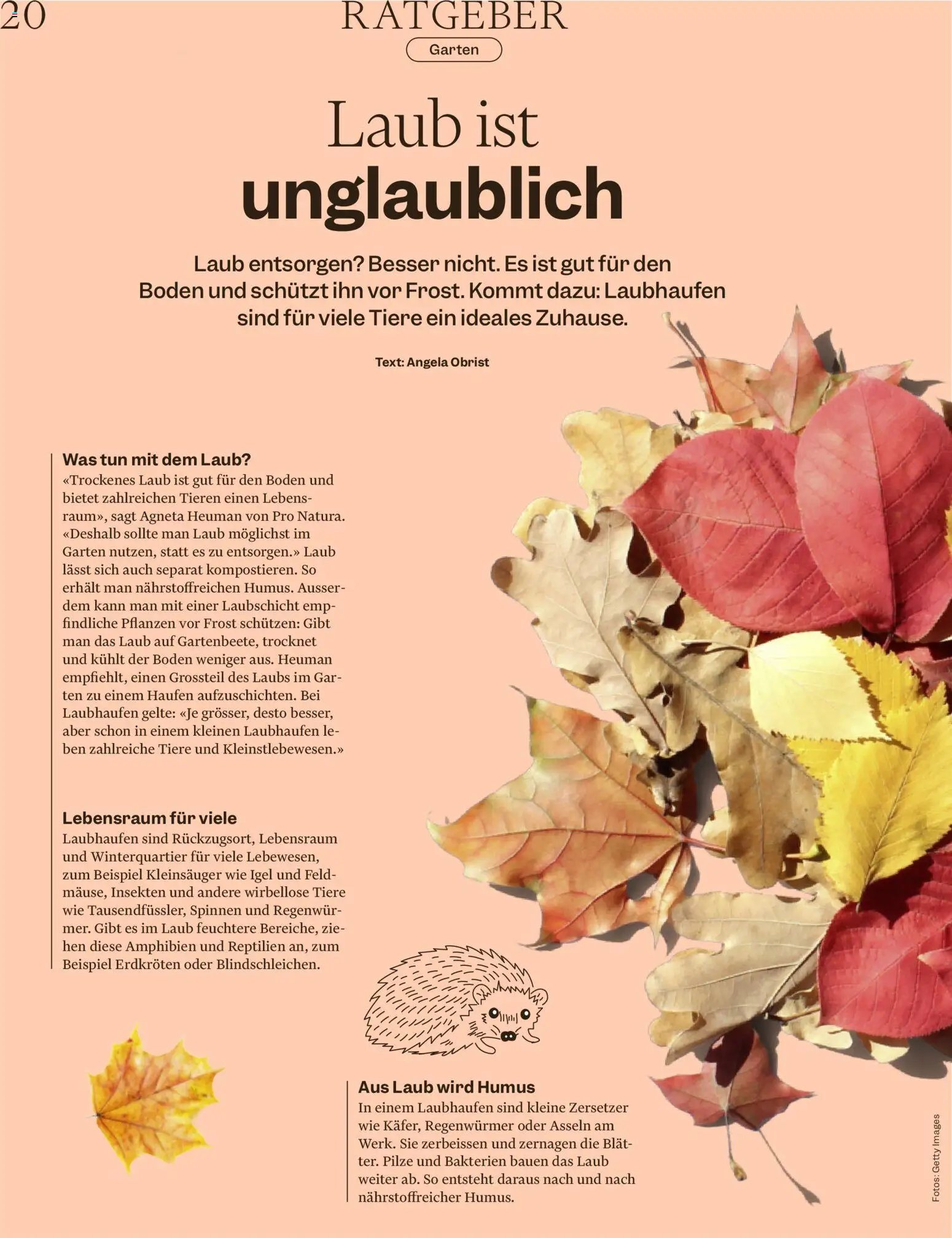 Migros aktionen Magazin