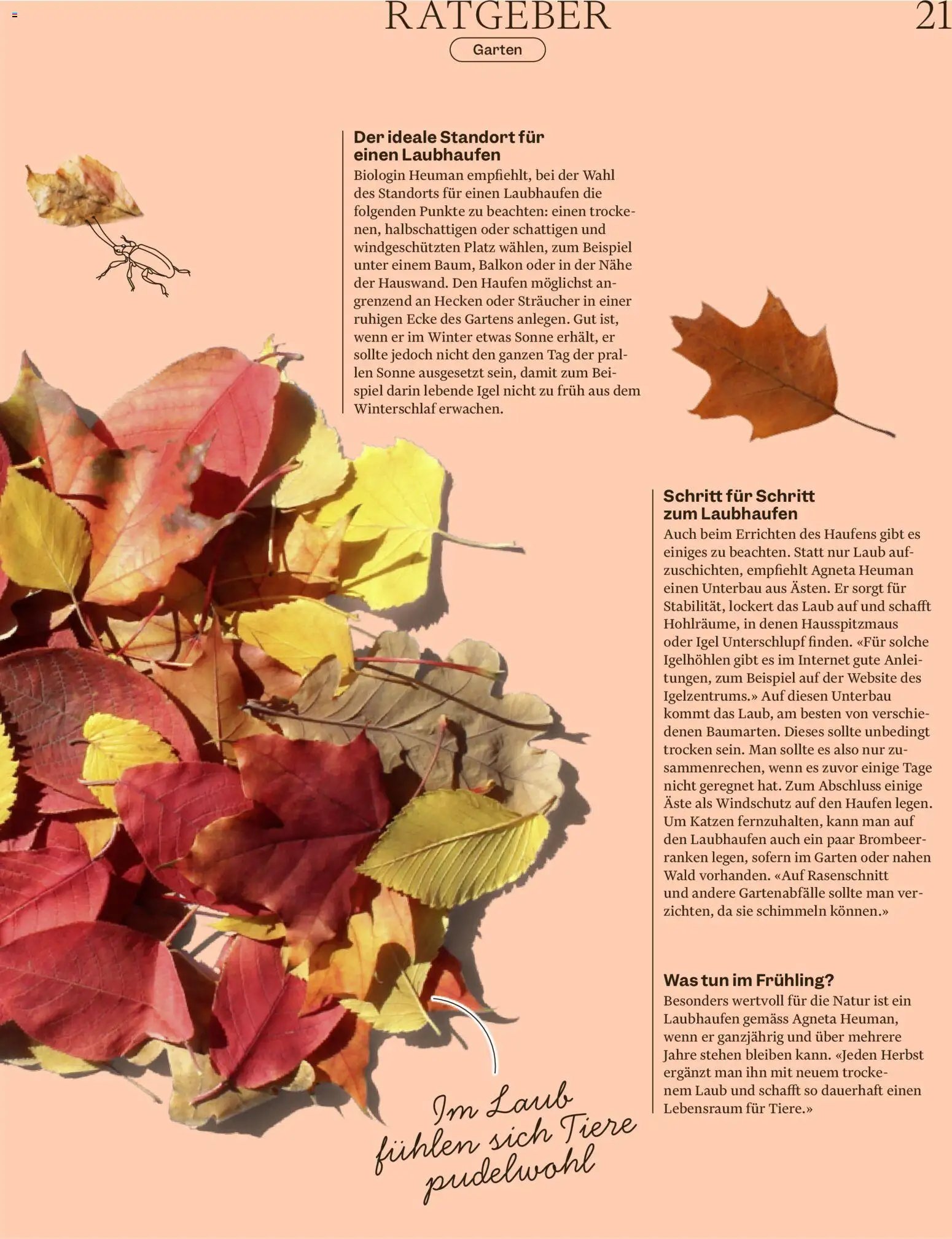 Migros aktionen Magazin