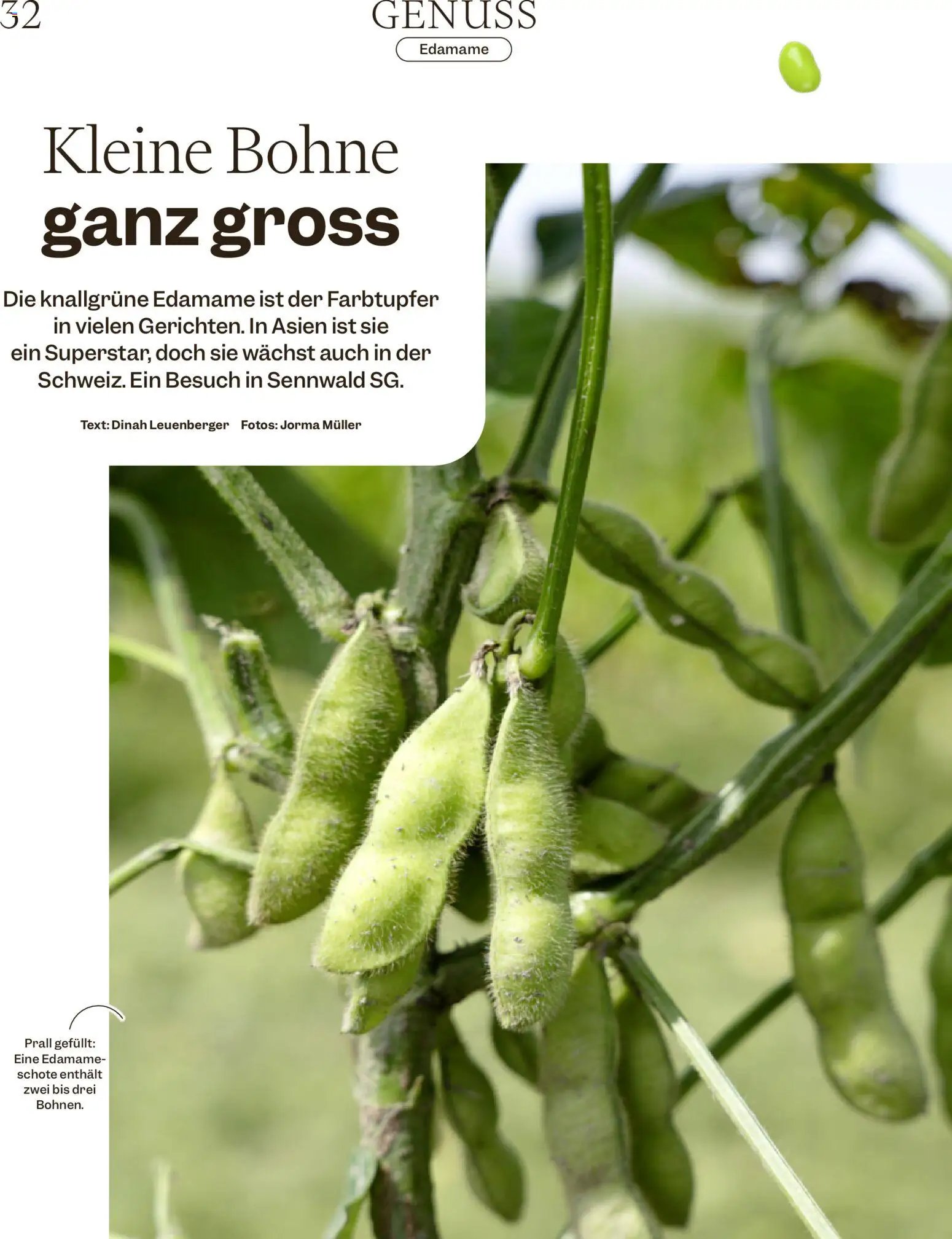 Migros aktionen Magazin