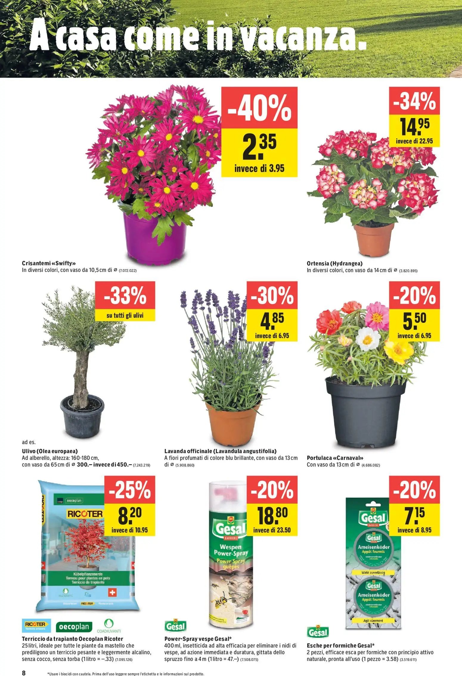 Jumbo aktionen IT
