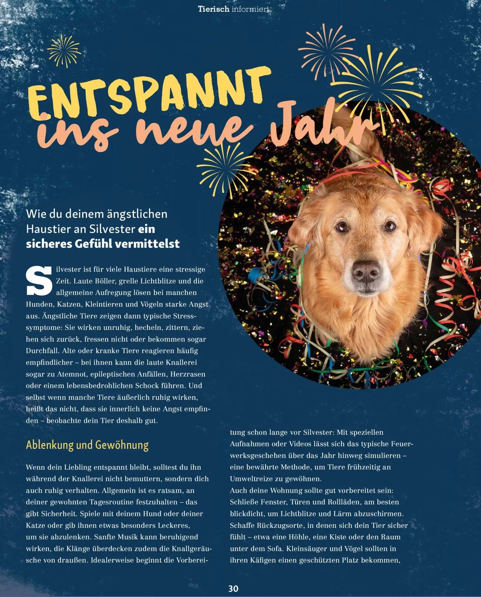 Fressnapf Magazin (2025-11-01 - 2025-12-31)