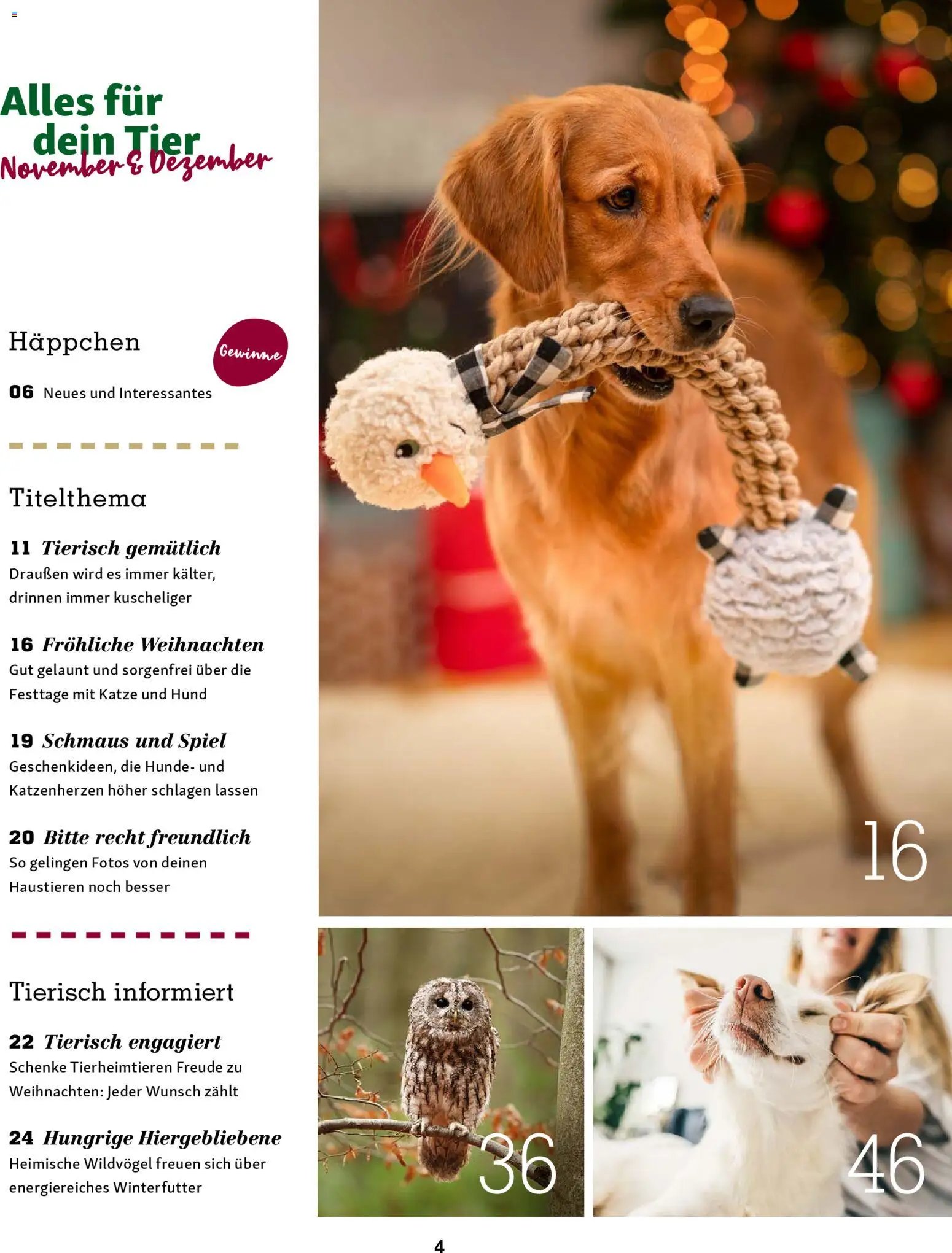 Fressnapf Magazin (2025-11-01 - 2025-12-31)