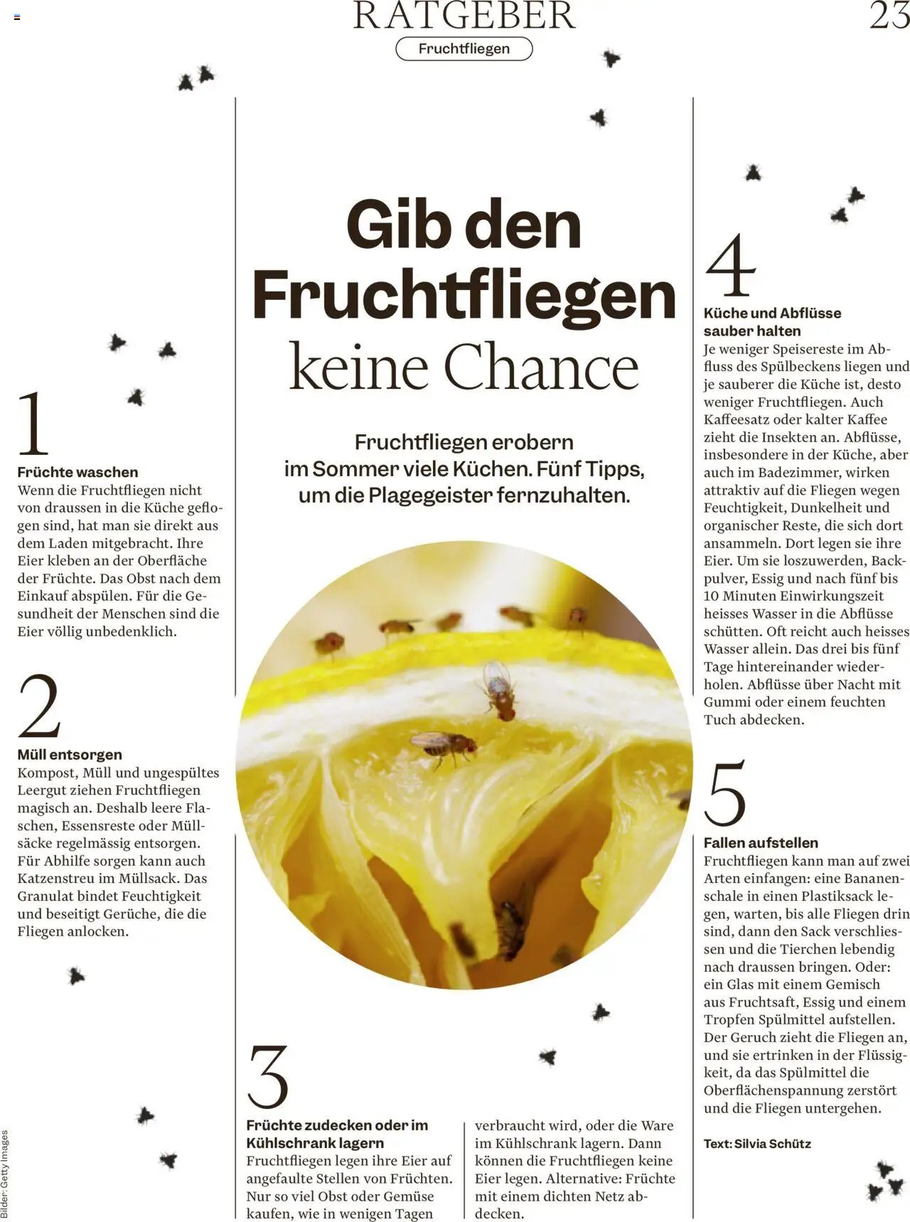 Migros - Magazin (2025-08-18 - 2025-08-24)