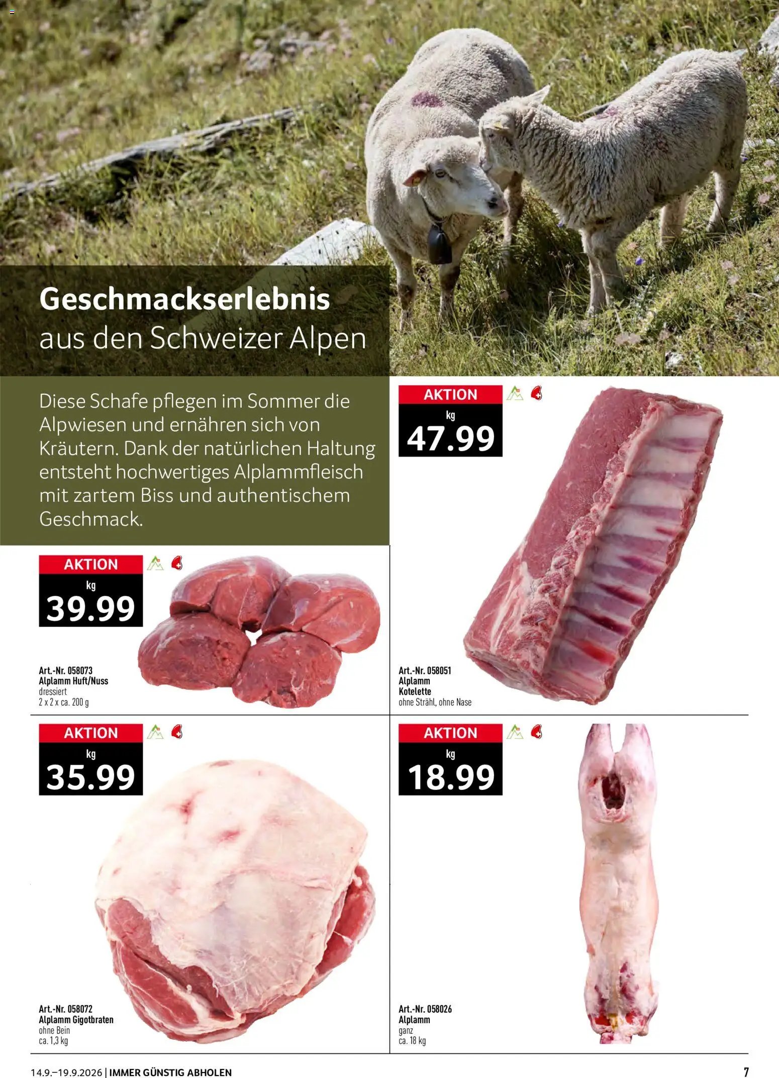 Prodega aktionen