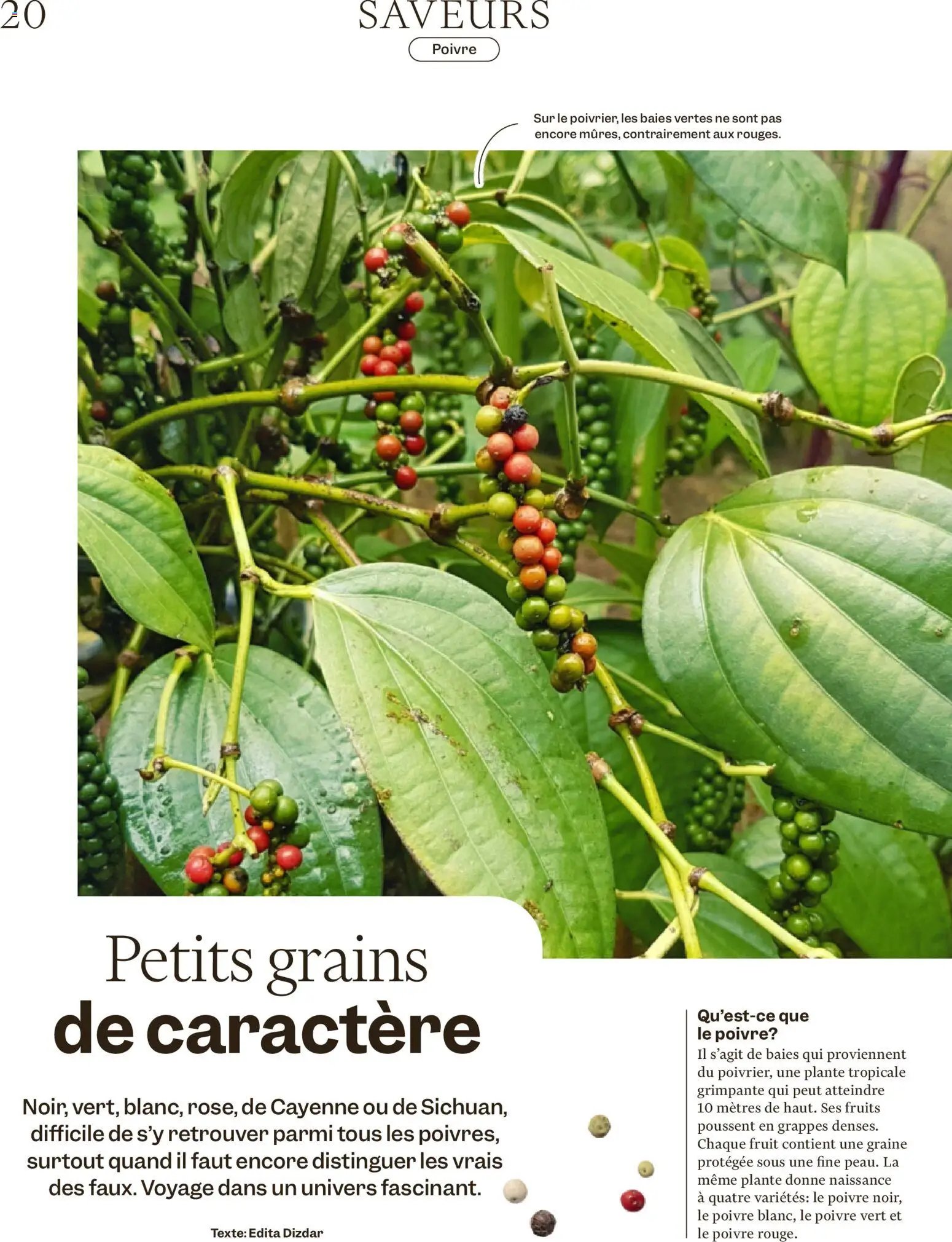 Migros Magazin FR (2025-12-29 - 2026-01-05)