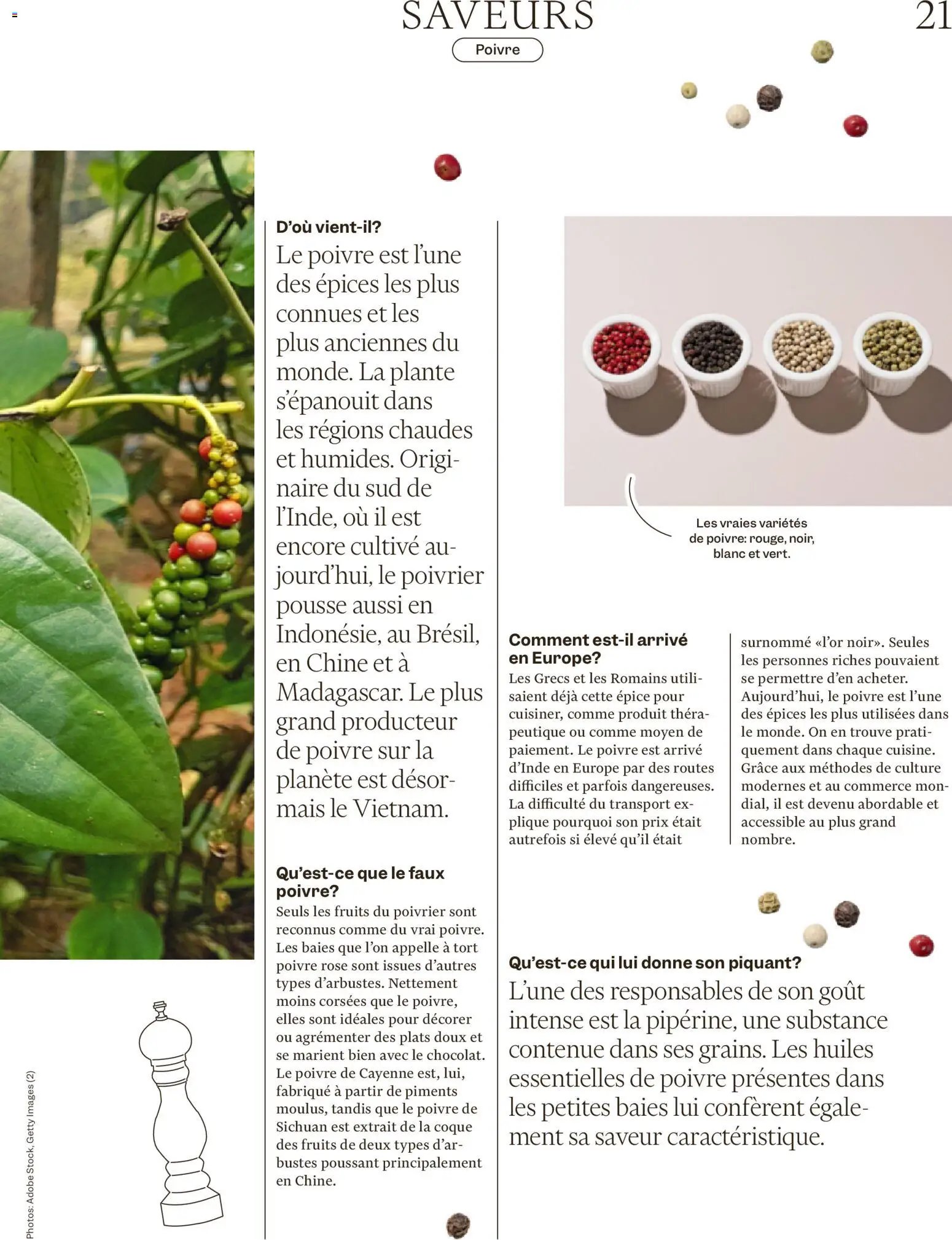 Migros Magazin FR (2025-12-29 - 2026-01-05)