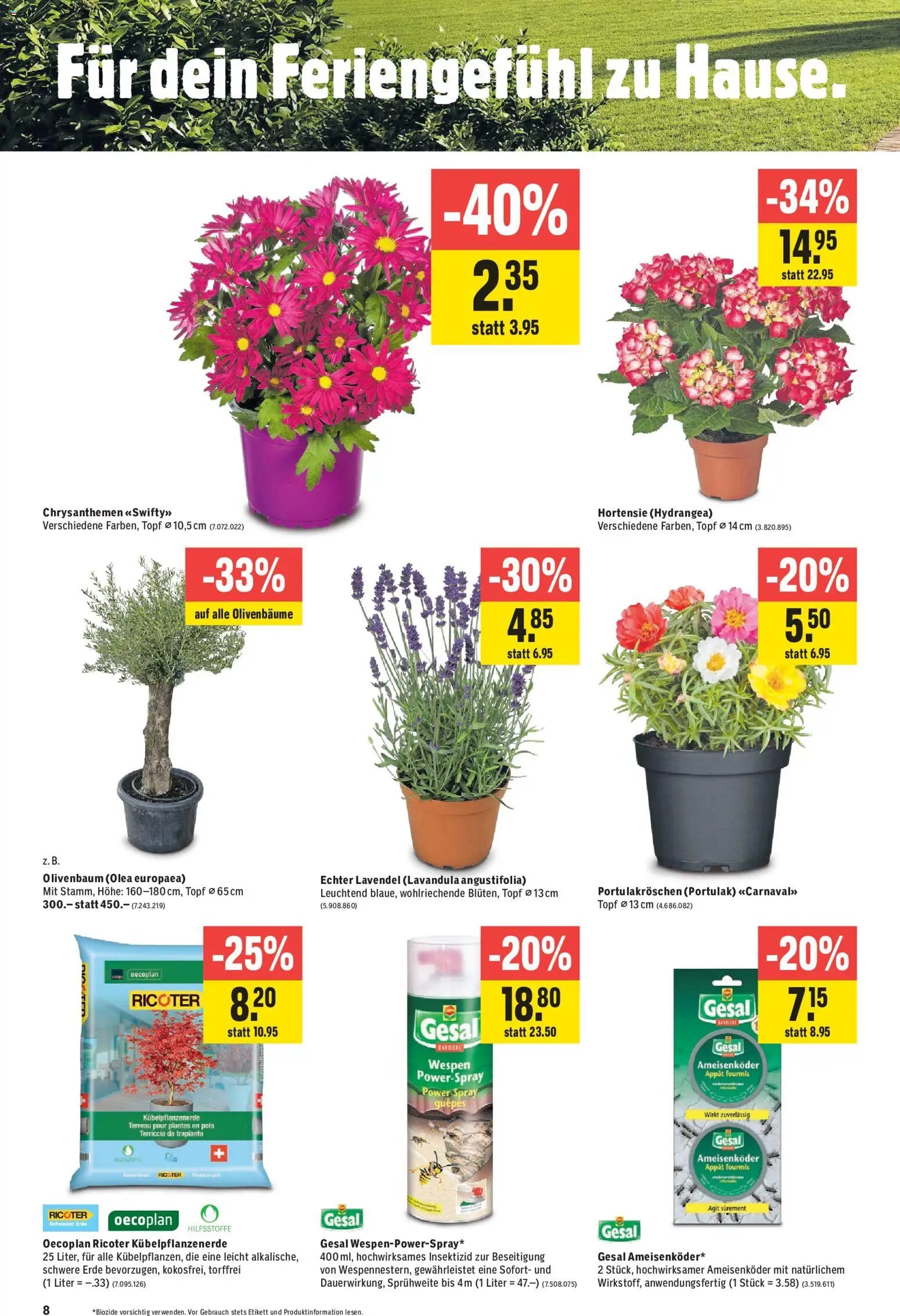 Jumbo aktionen