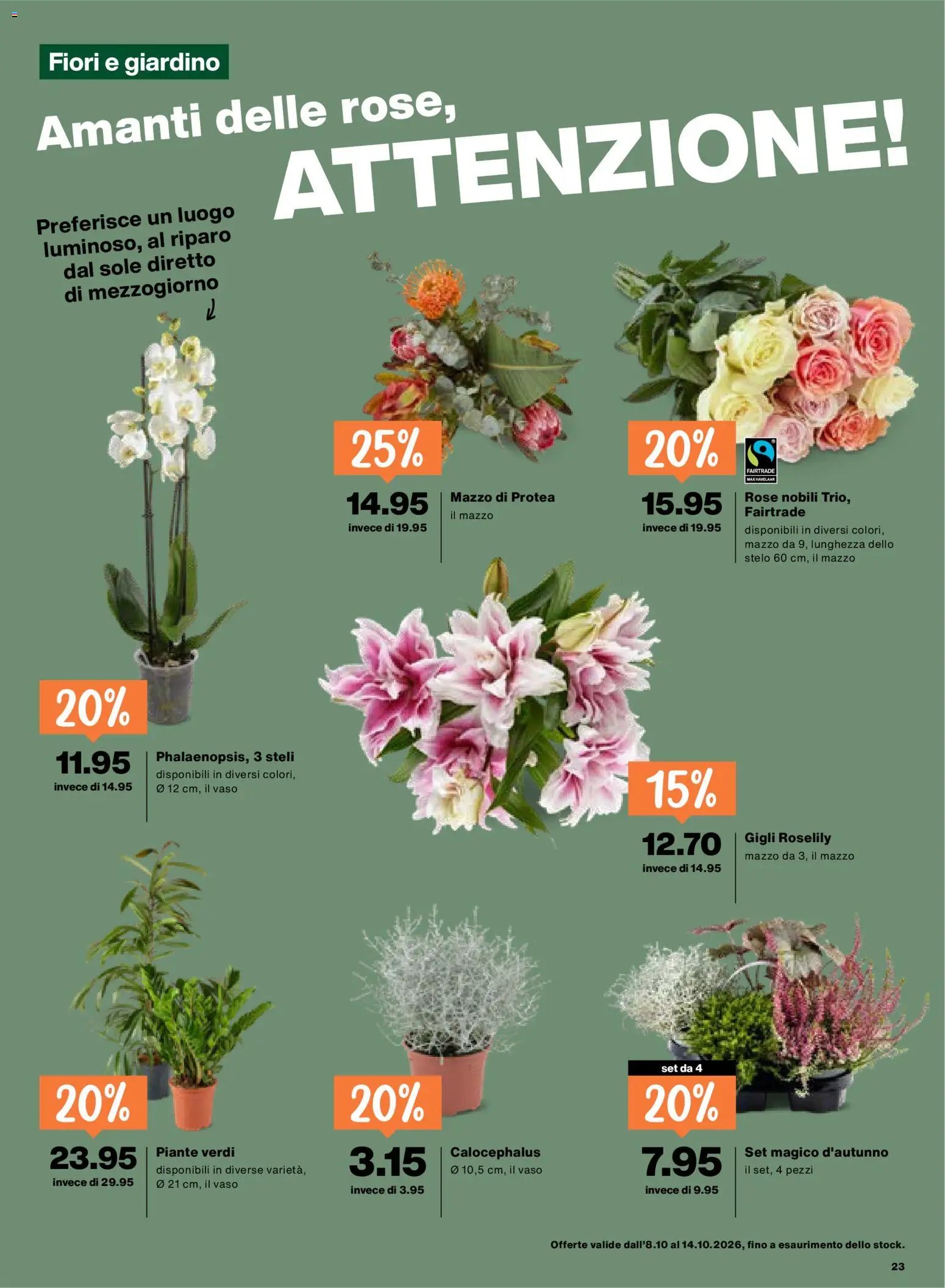 Migros aktionen IT