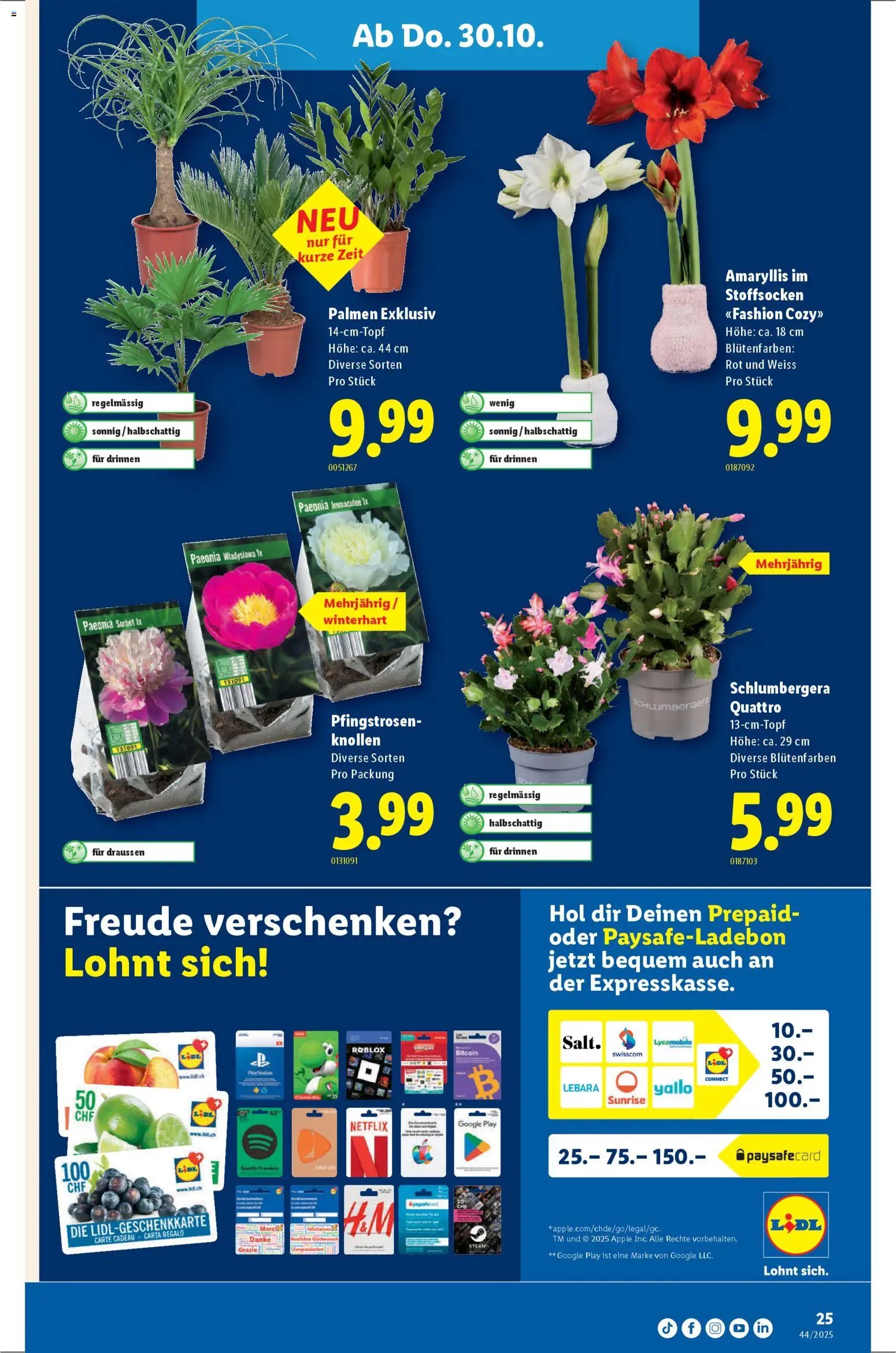 Lidl Aktionen (2025-10-30 - 2025-11-05) | 25