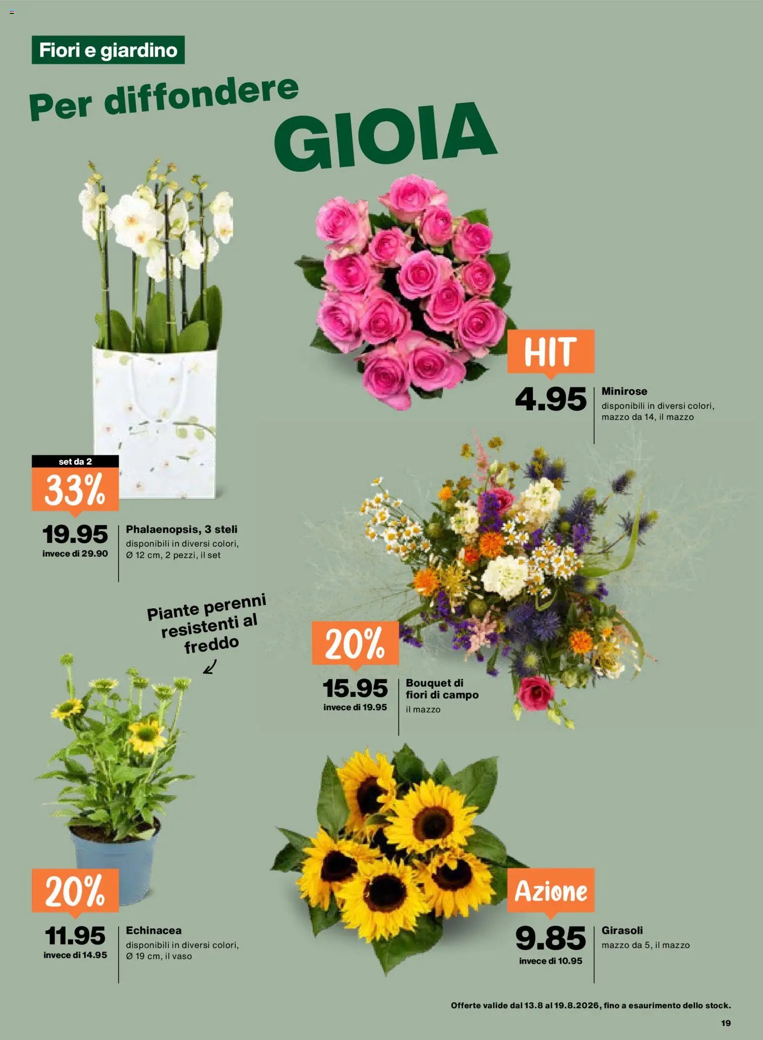 Migros aktionen IT