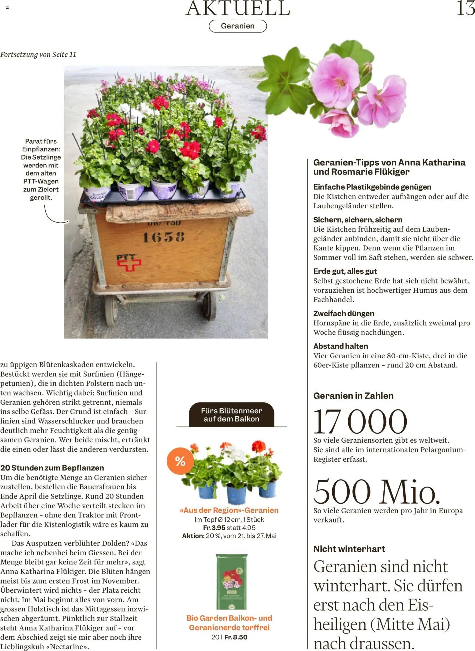 Migros aktionen Magazin (2026-05-19 - 2026-05-25)