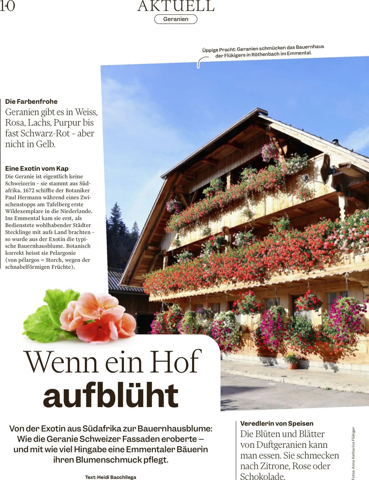 Migros aktionen Magazin (2026-05-19 - 2026-05-25)