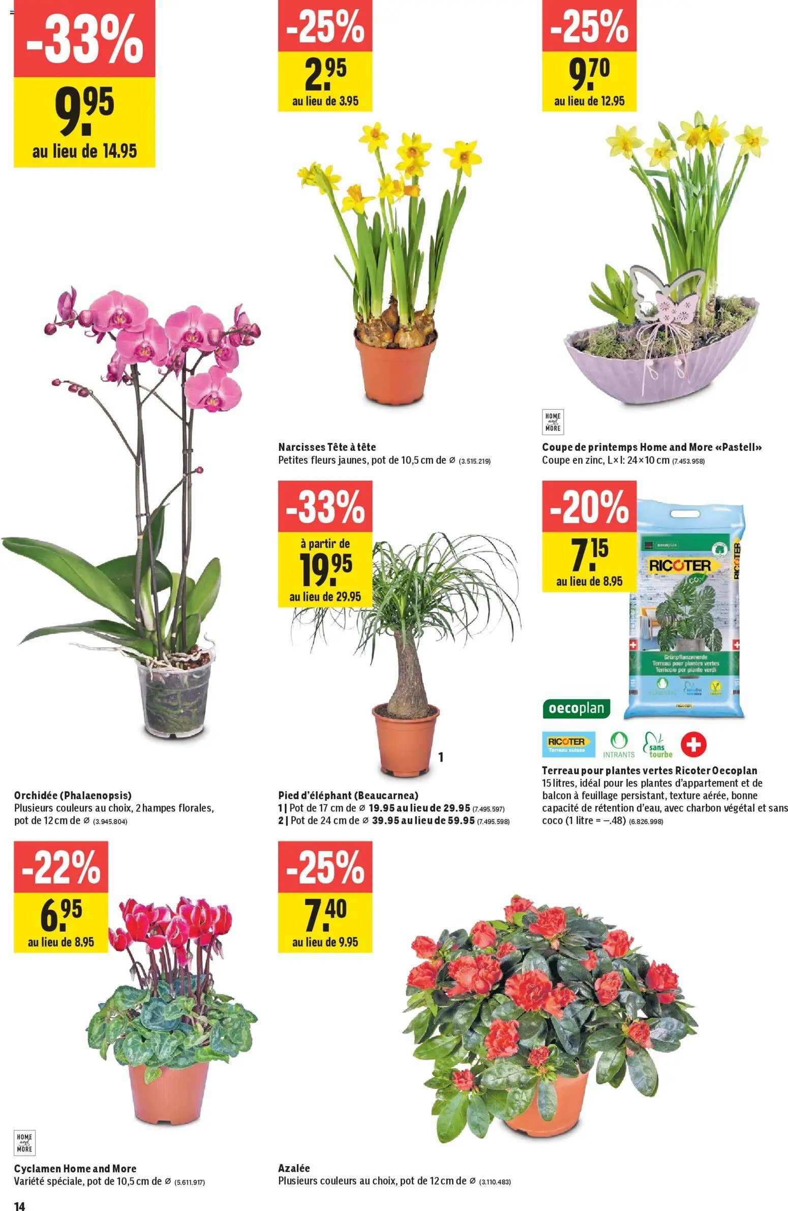 Jumbo Aktionen FR (2026-01-15 - 2026-01-28) | 14