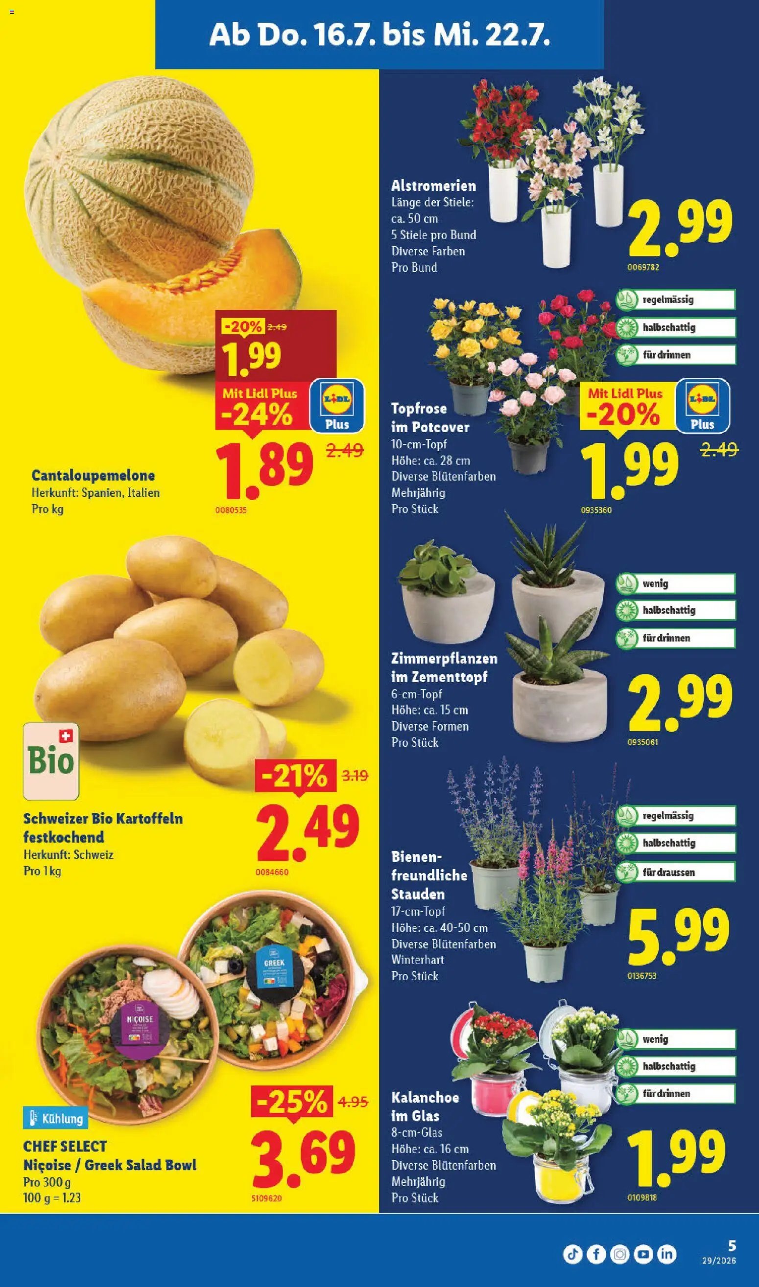 Lidl aktionen