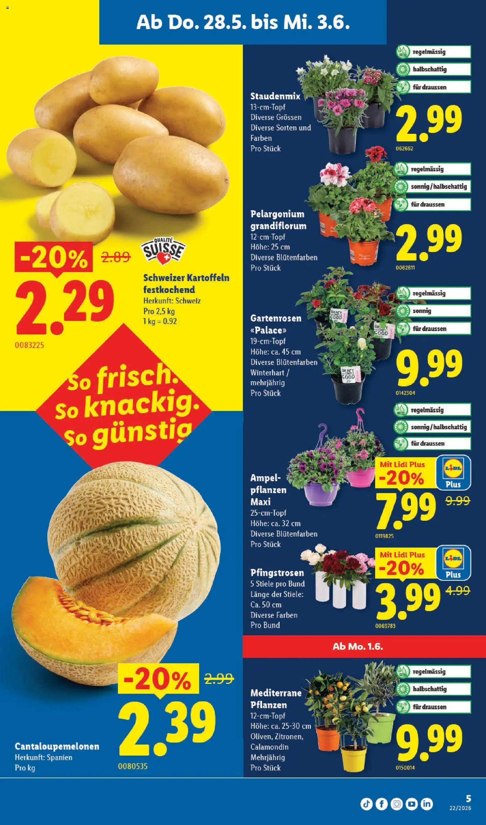 Lidl aktionen (2026-05-28 - 2026-06-03)