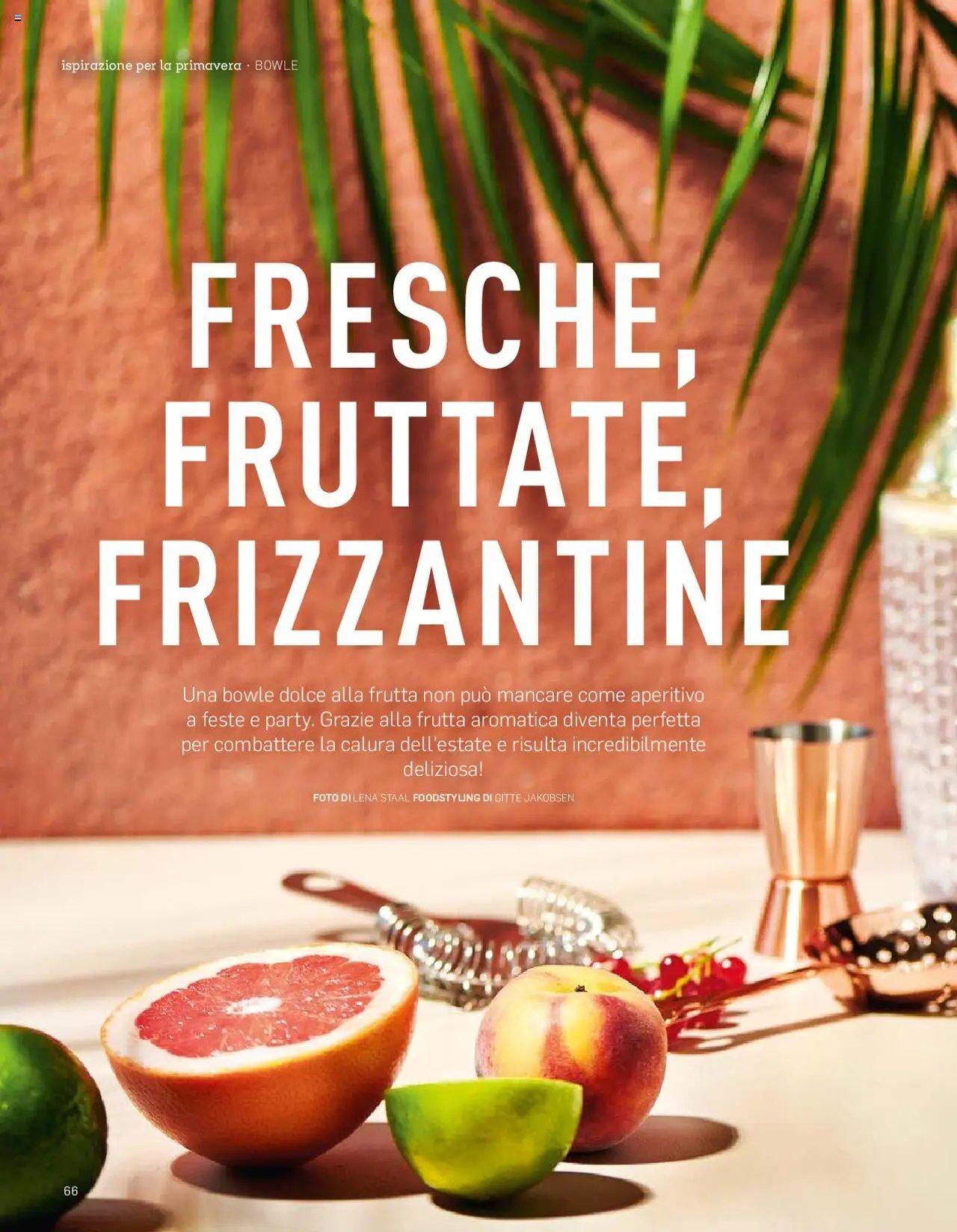 Aldi Aktuelle Fruhlings - Inspizione (2025-04-07 - 2025-12-31)