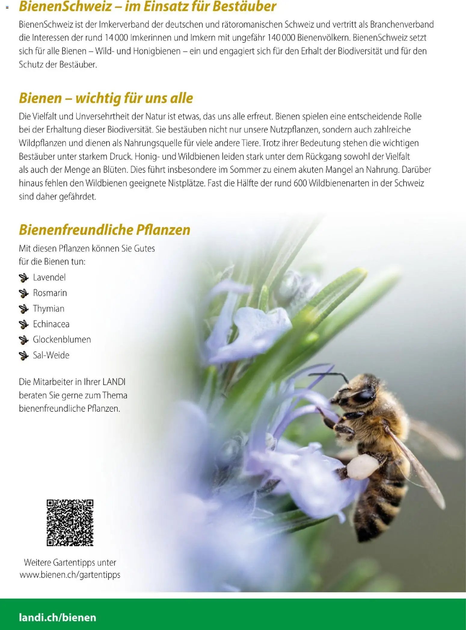 Landi aktionen Wild- und Honigbienen (2026-03-29 - 2026-06-30) | 2