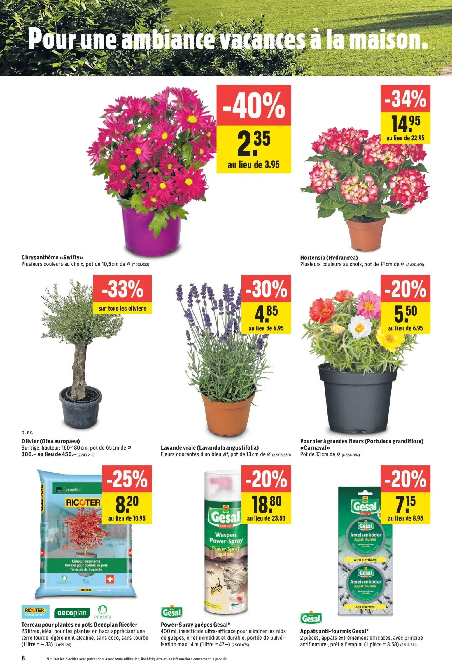 Jumbo aktionen FR