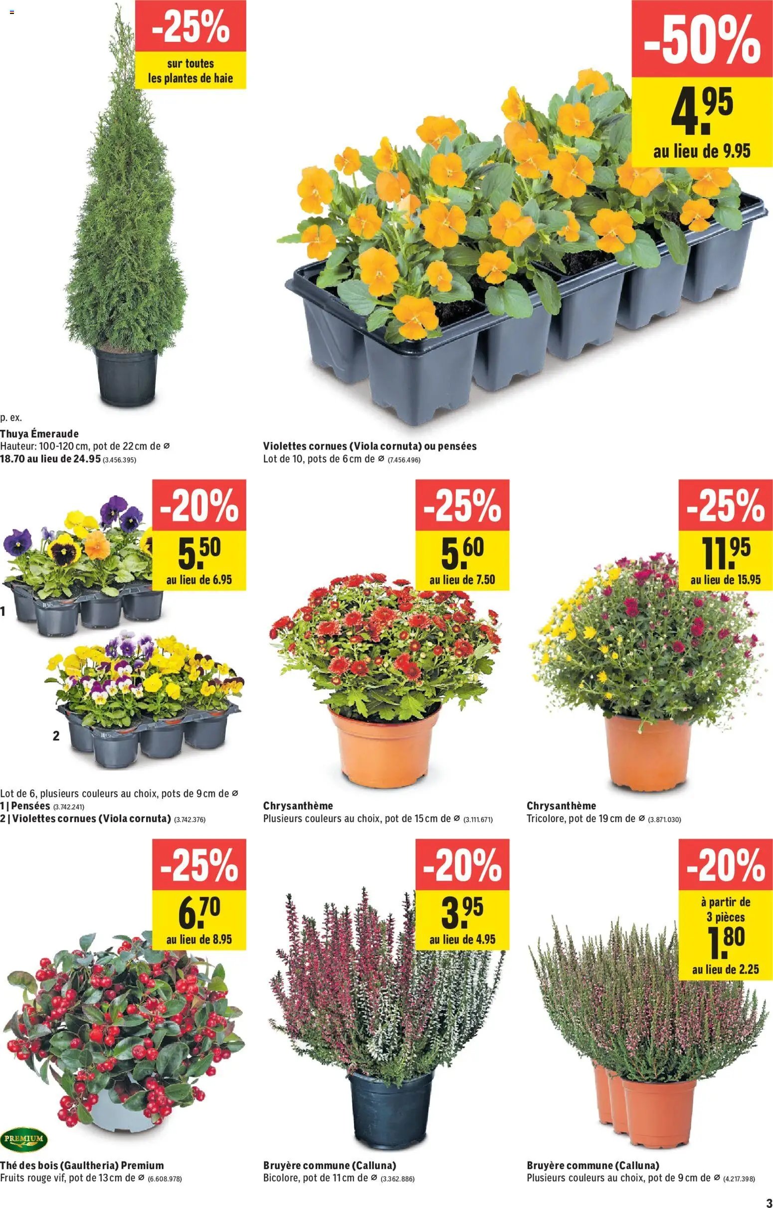 Jumbo aktionen FR