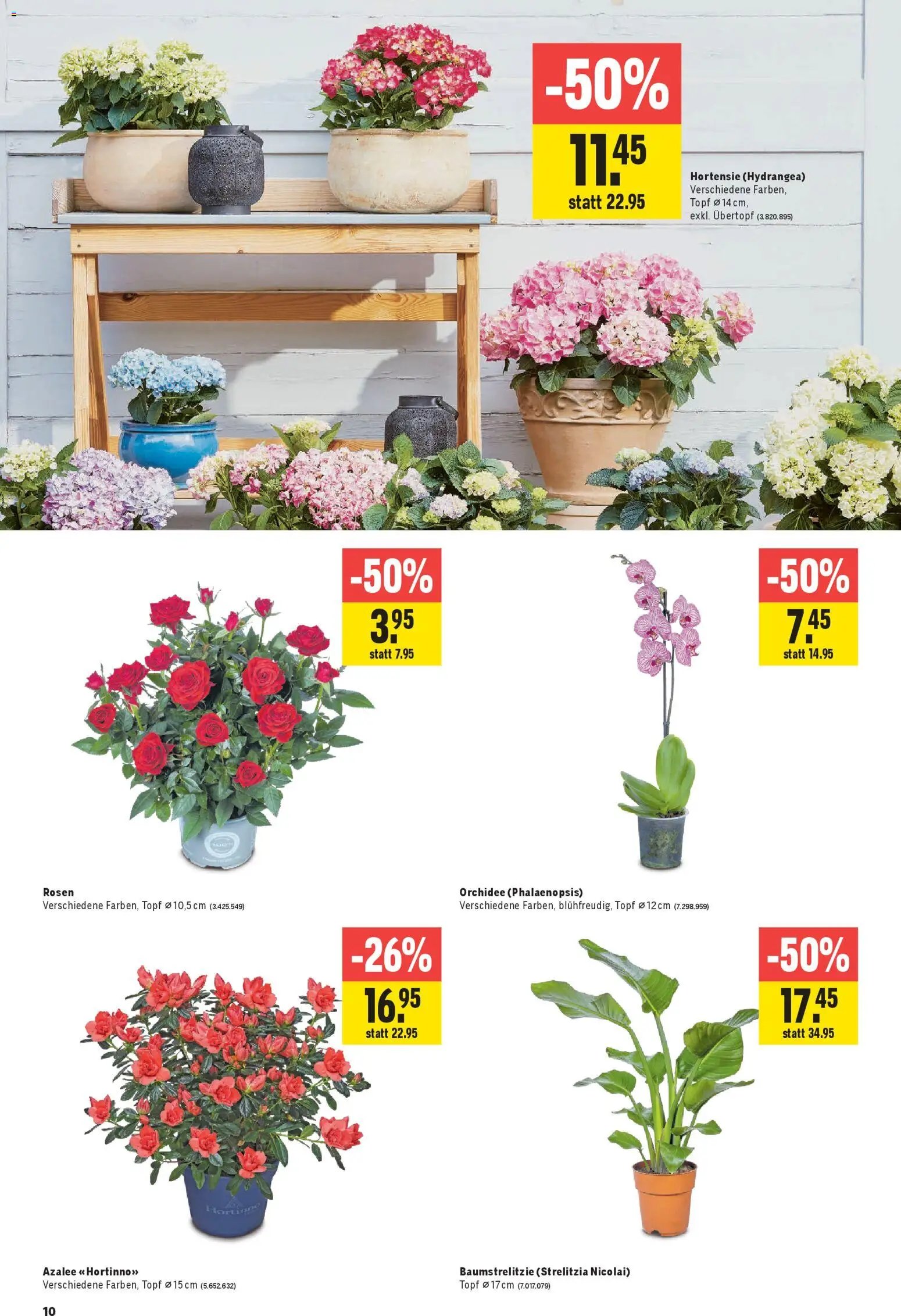 Jumbo Aktionen (2026-02-26 - 2026-03-11) | 10