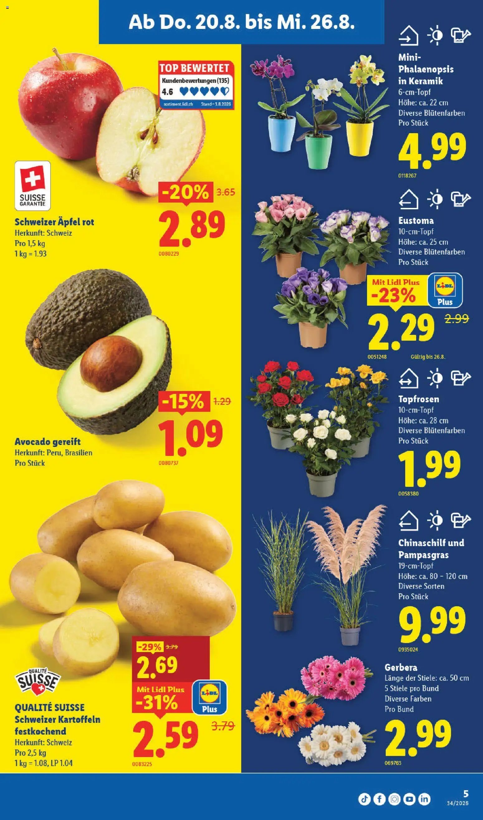 Lidl aktionen