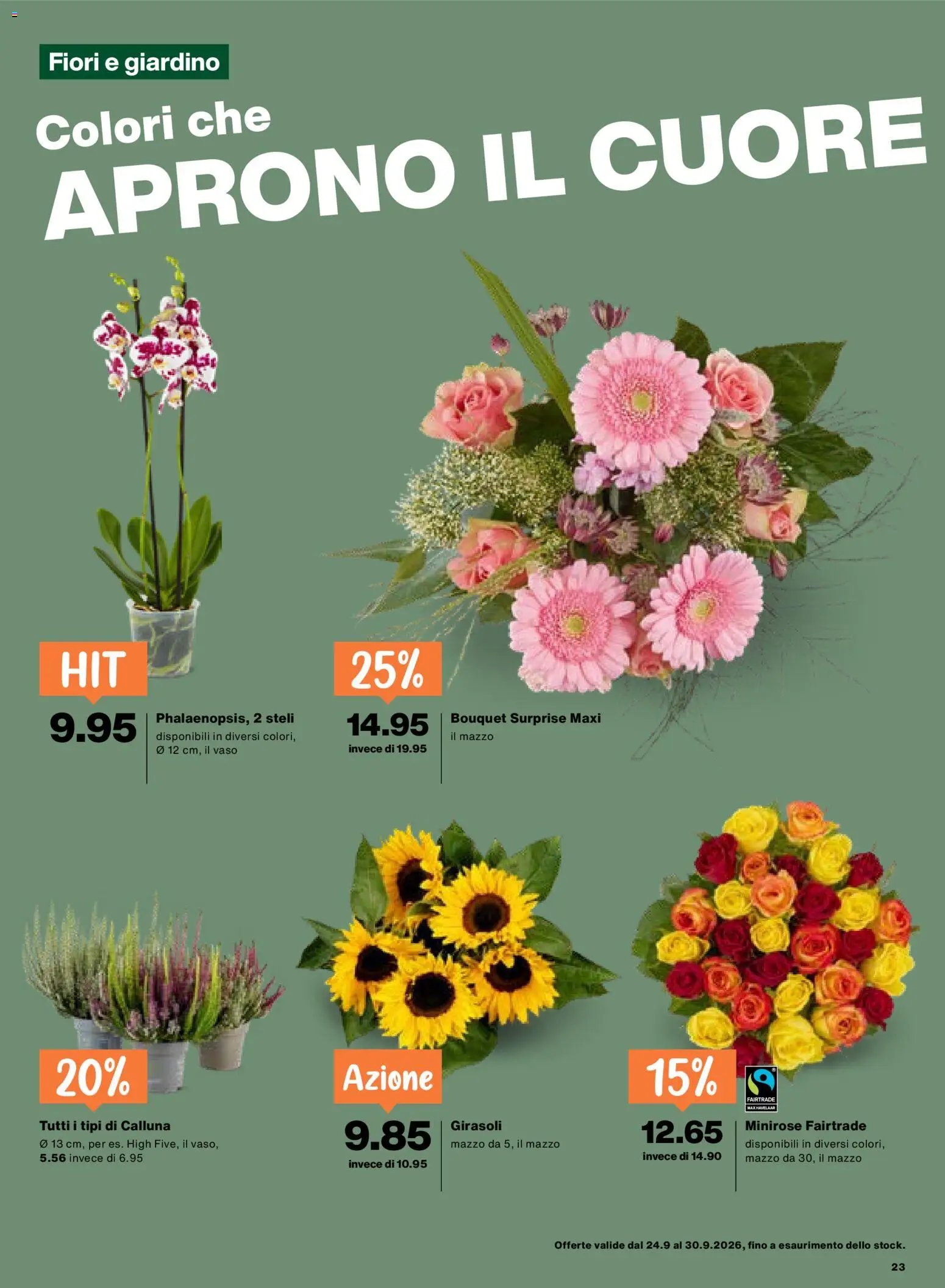 Migros aktionen IT
