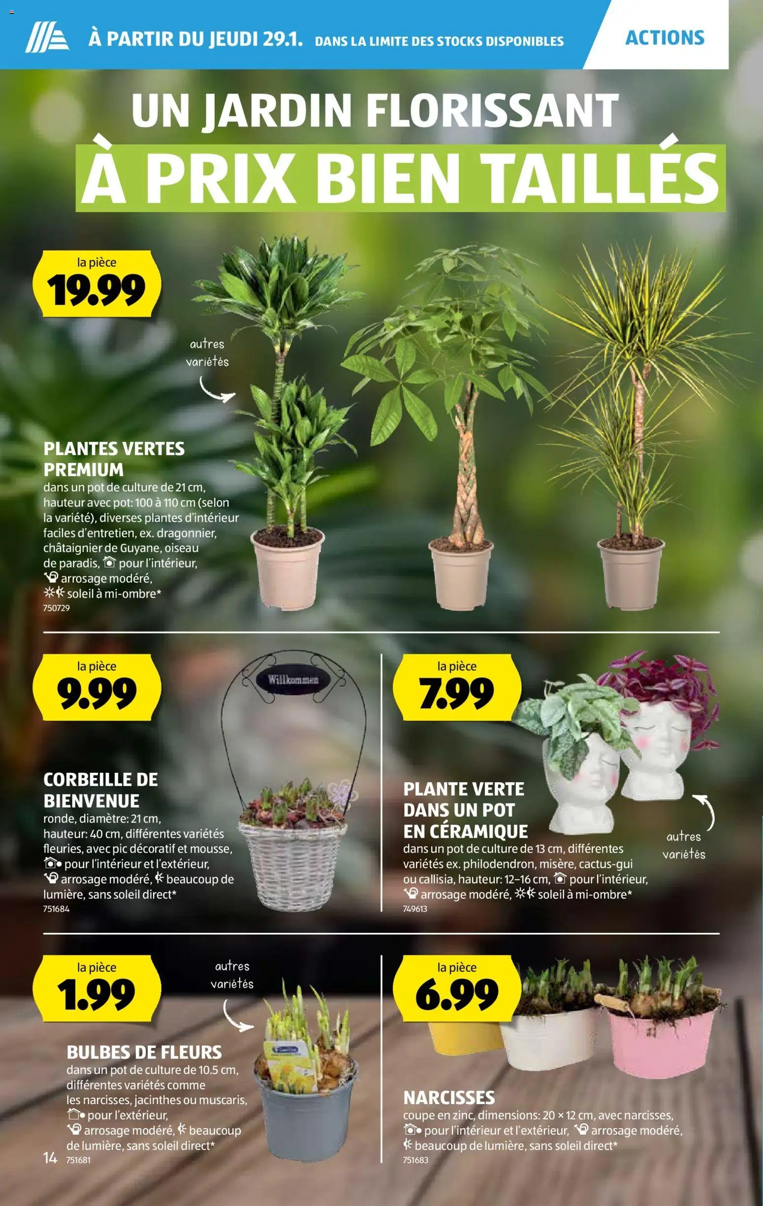 Aldi Aktionen FR (2026-01-29 - 2026-02-04) | 15