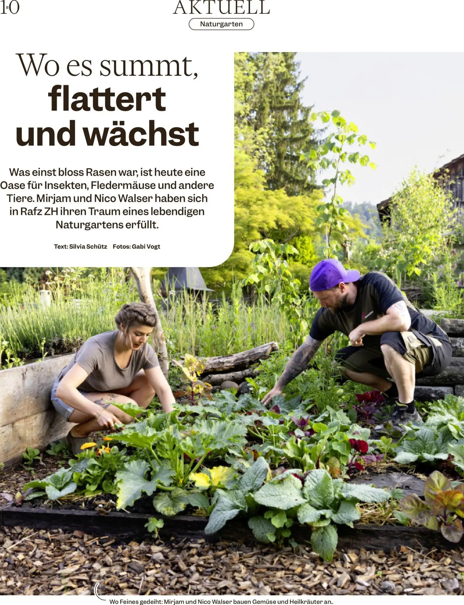 Migros aktionen Magazin