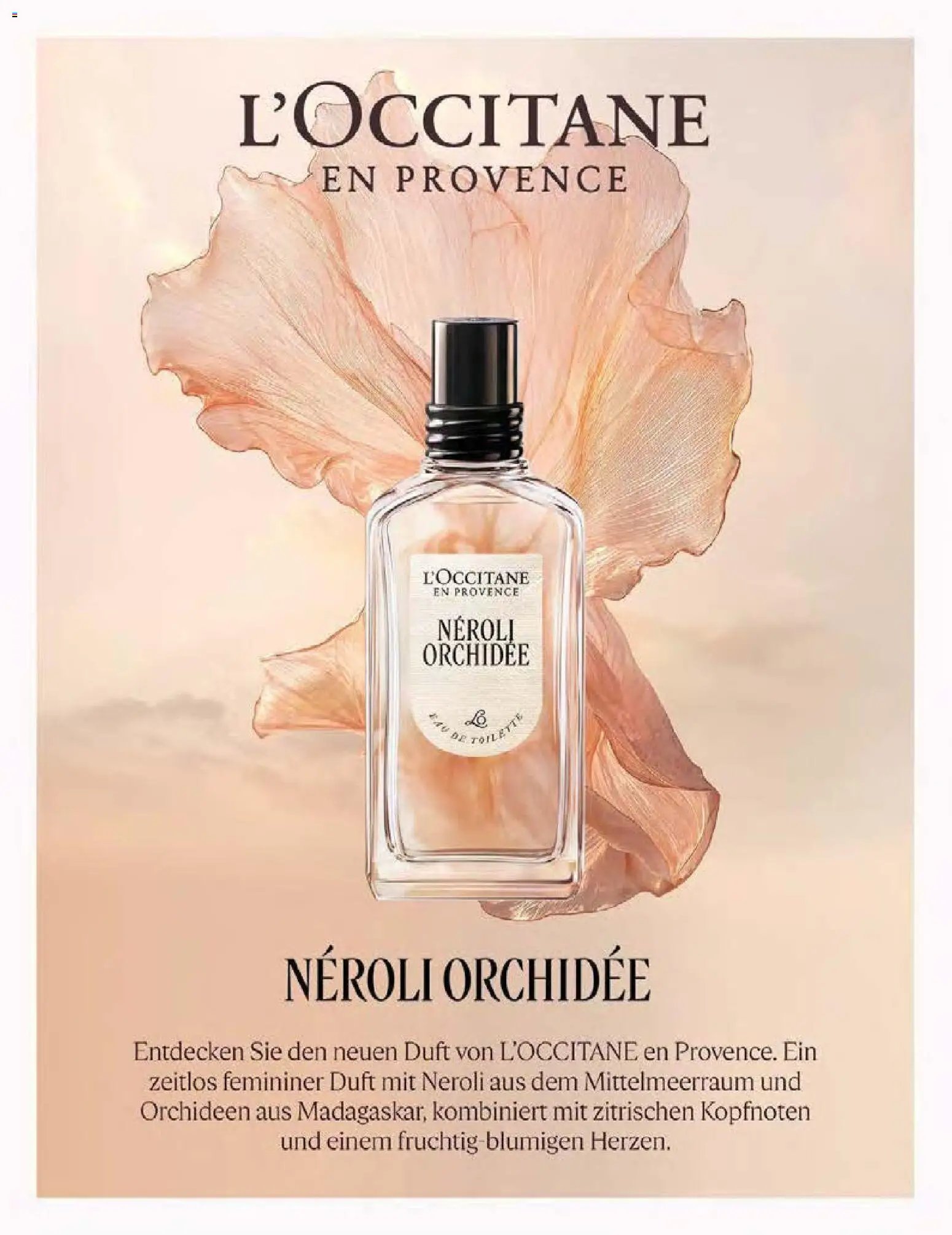 Müller Magazin (2025-11-14 - 2025-12-31)